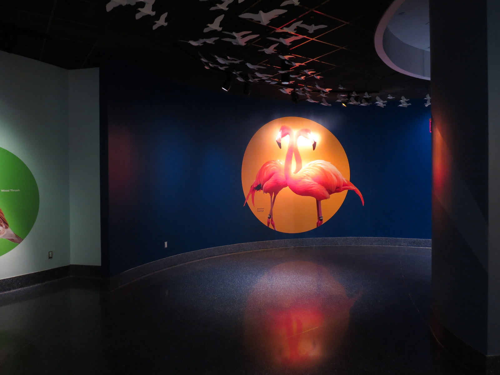 Bird House - Flyway Gallery