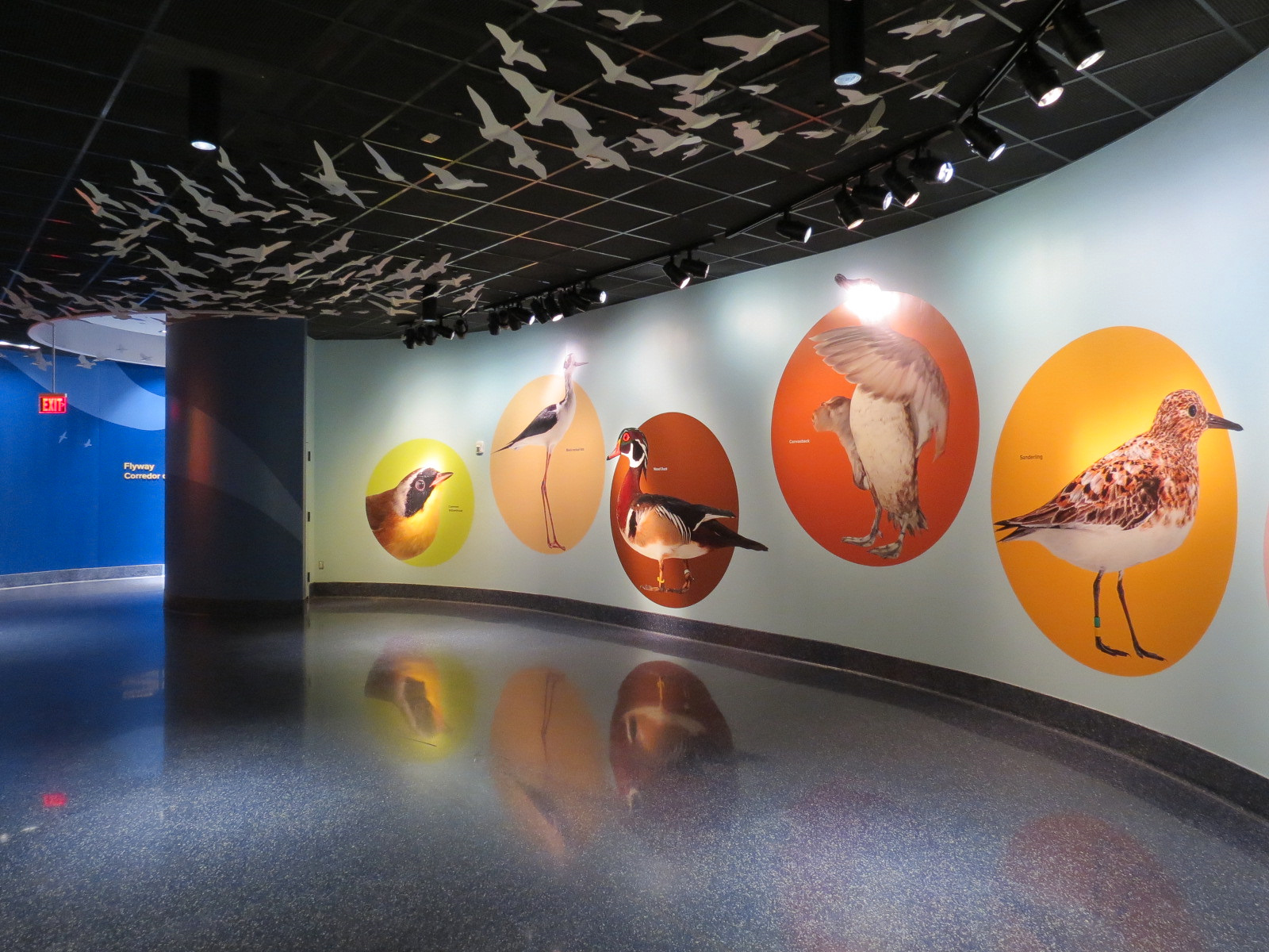 Bird House - Flyway Gallery