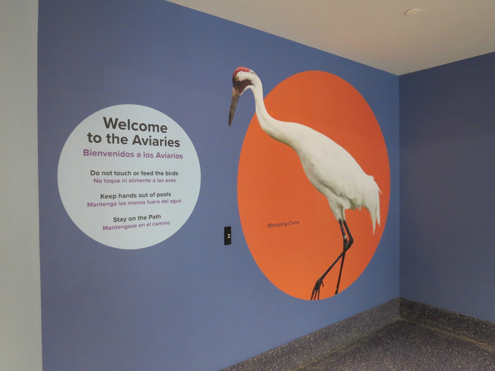 Bird House - Flyway Gallery