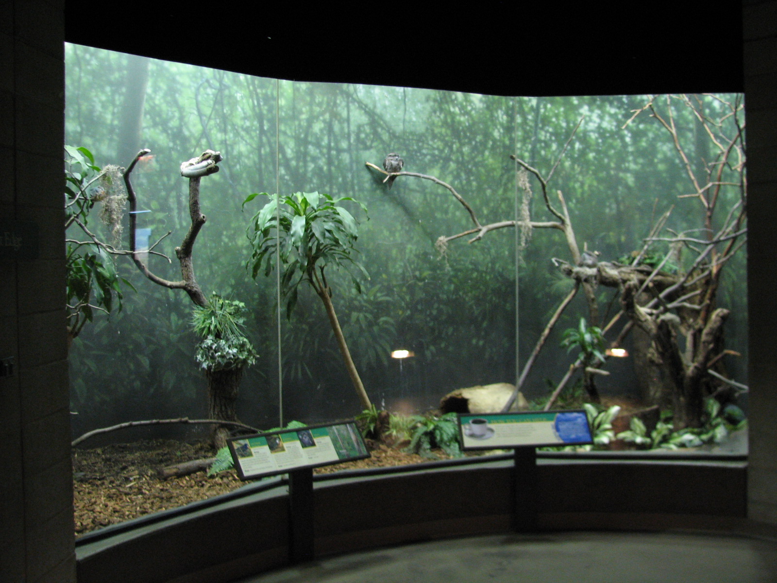 Bird House - Forest Edge Exhibit