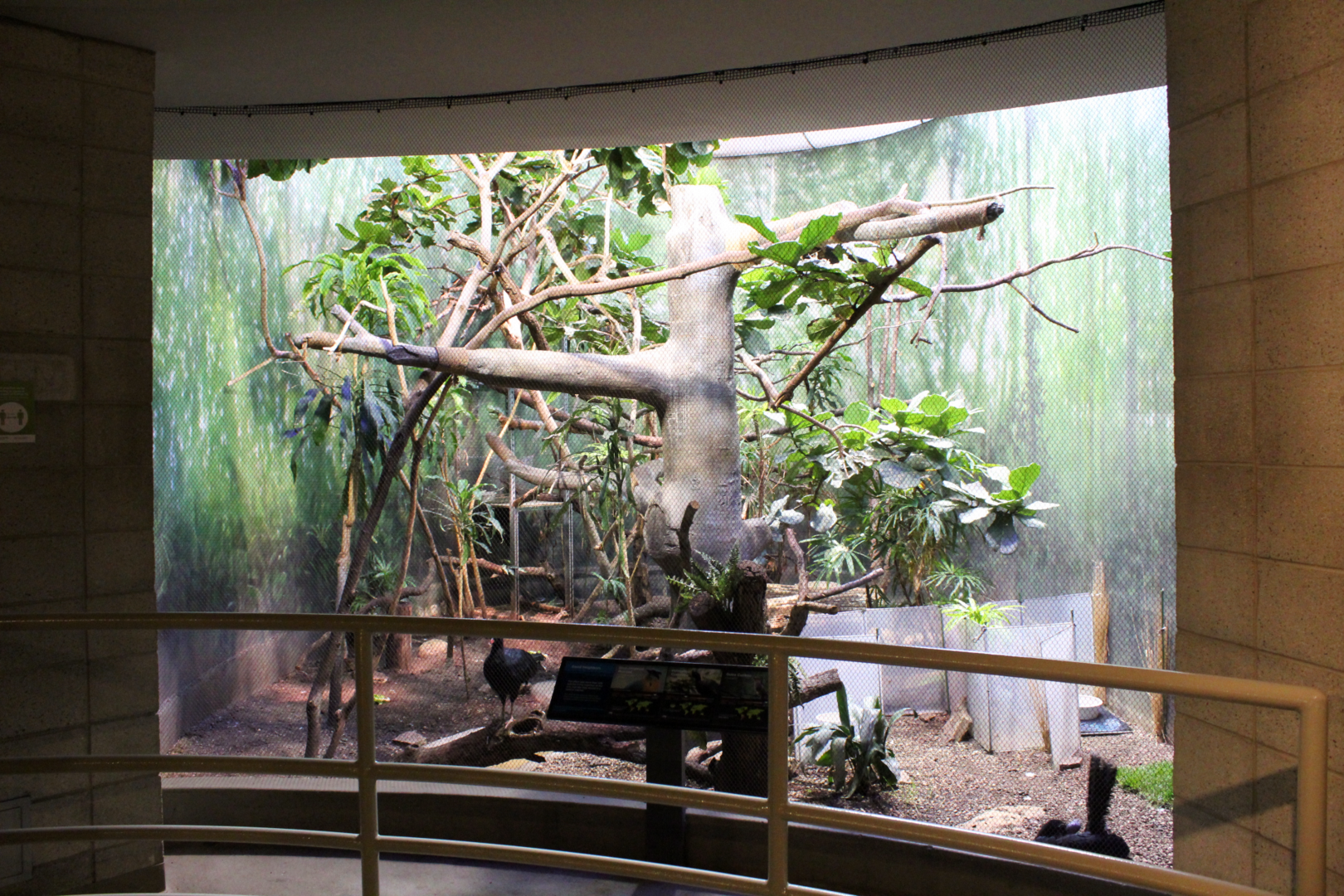 Bird House - Forest Floor Exhibit