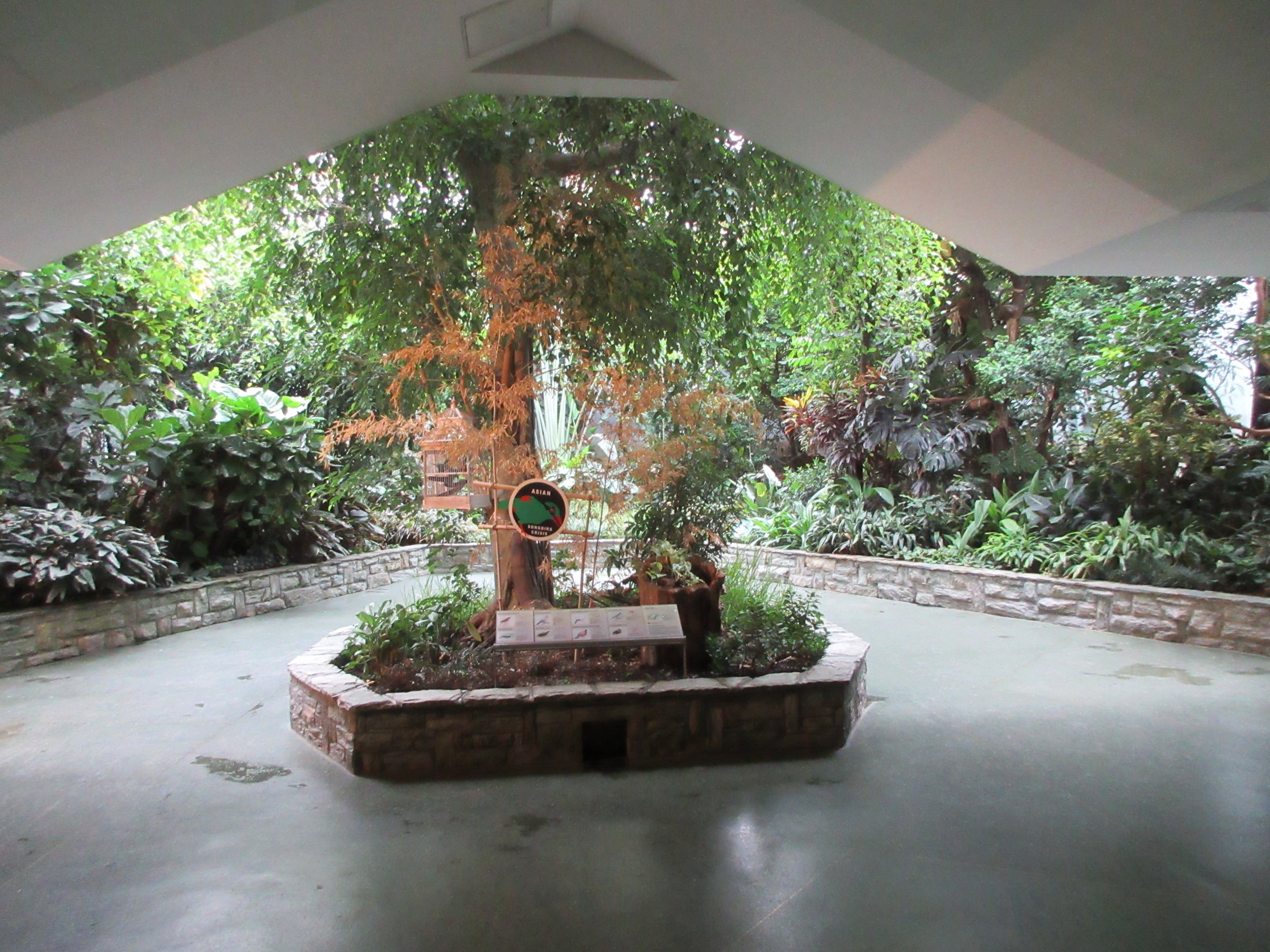 Bird House - free-flight aviary