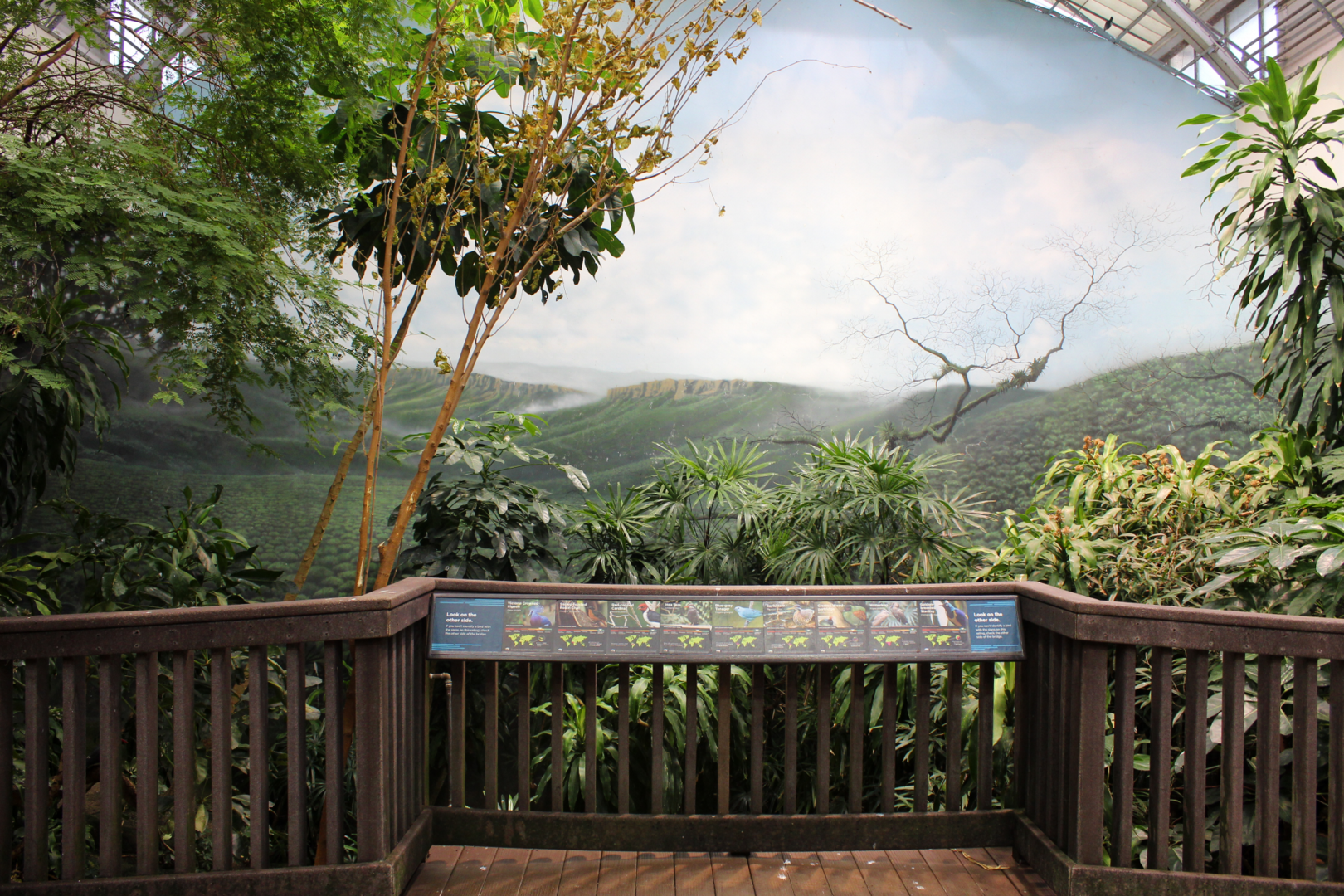 Bird House - Free-flight Room