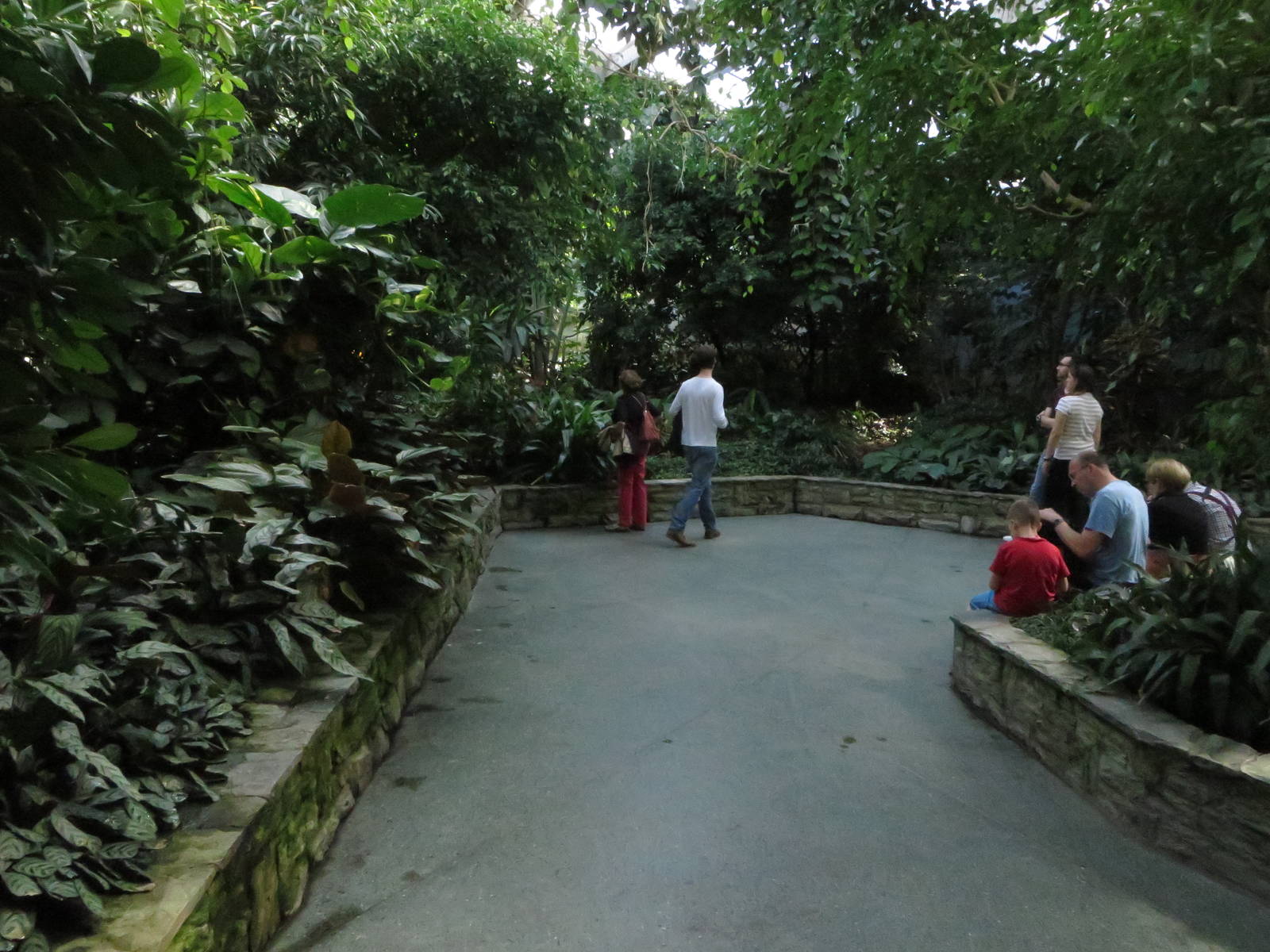 Bird house - Free flight