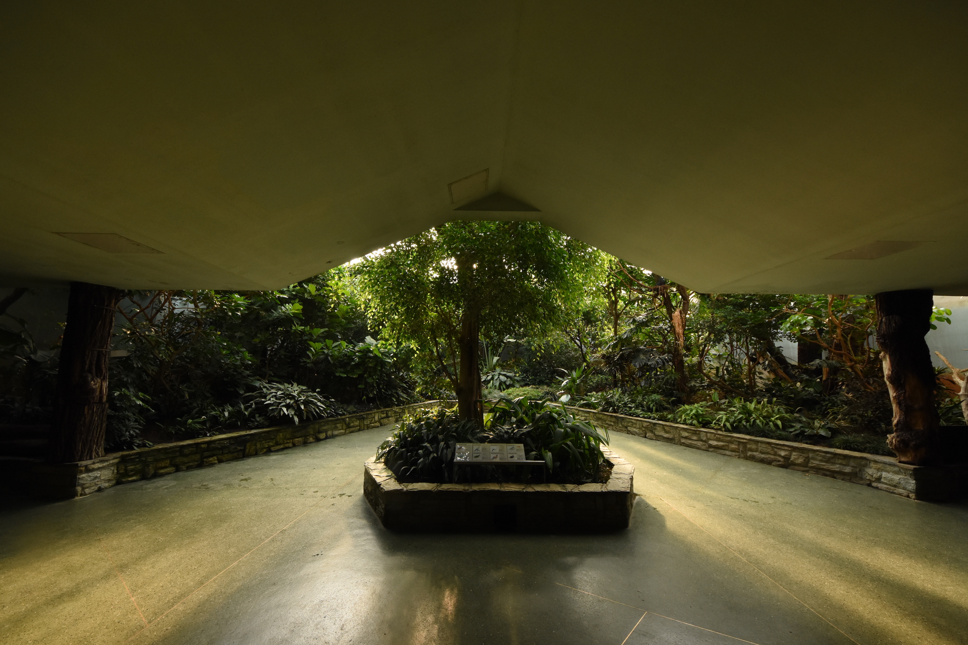 Bird house - Freeflight