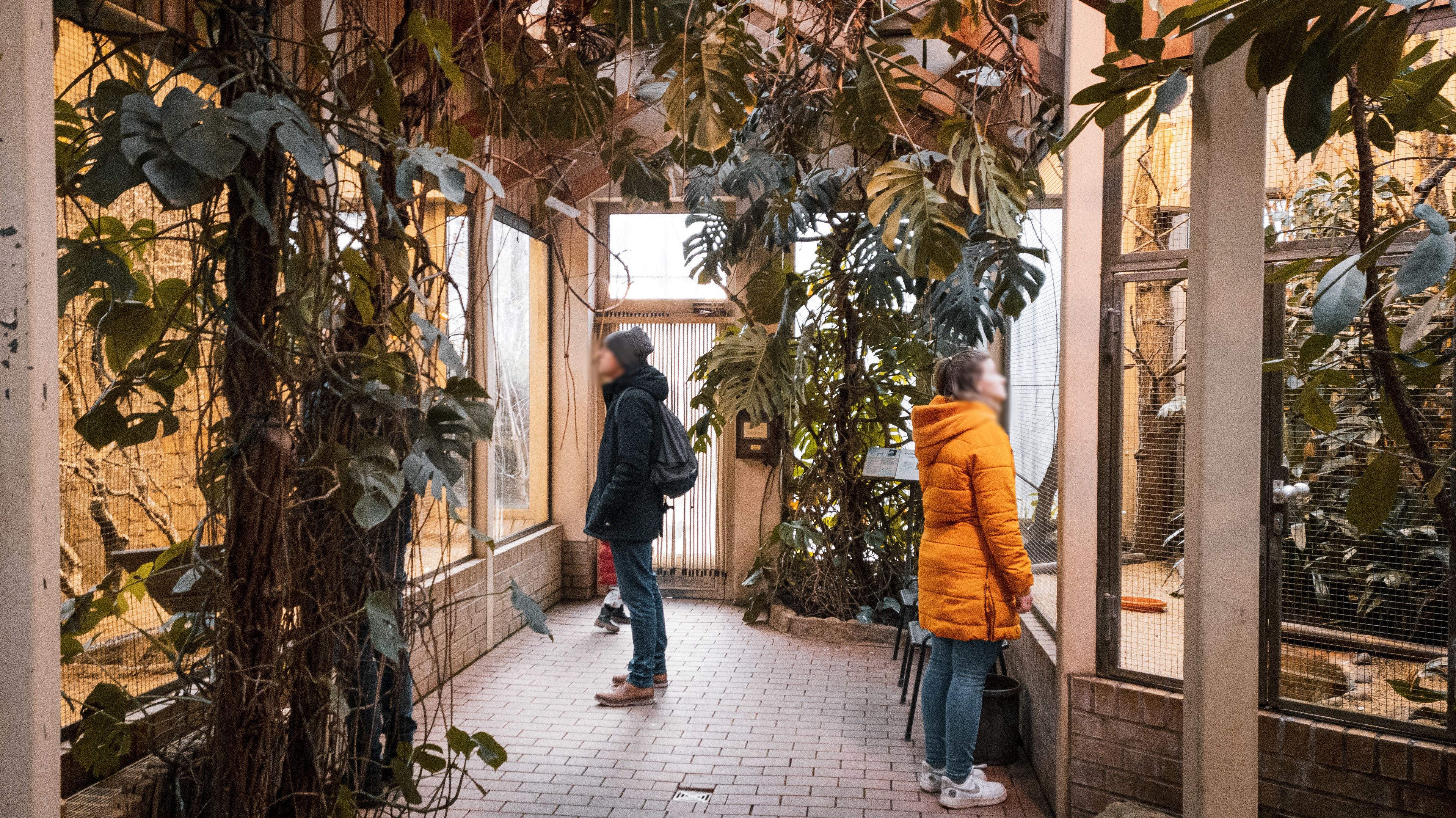 Bird house general view