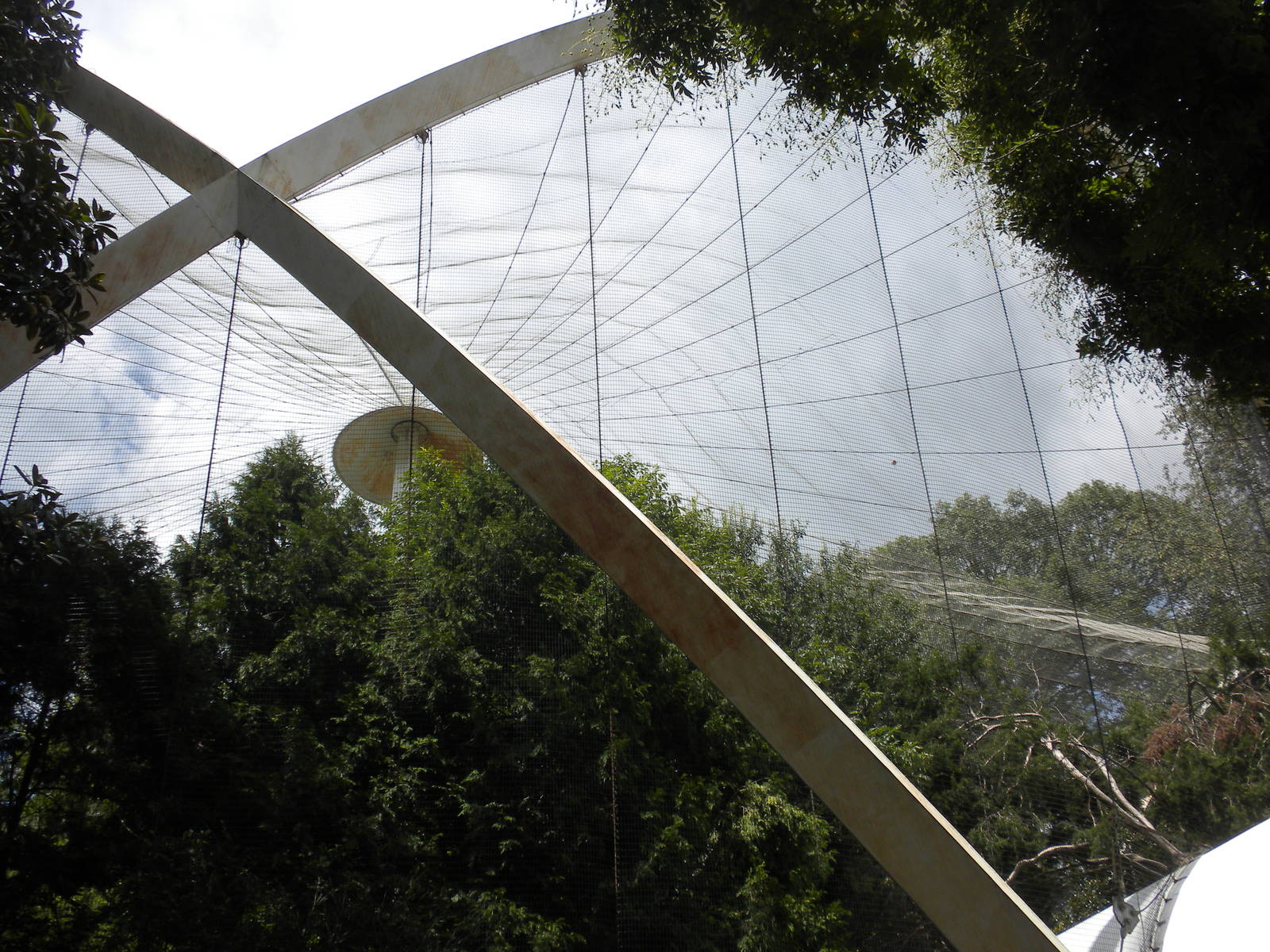 Bird House - Great Flight Exhibit
