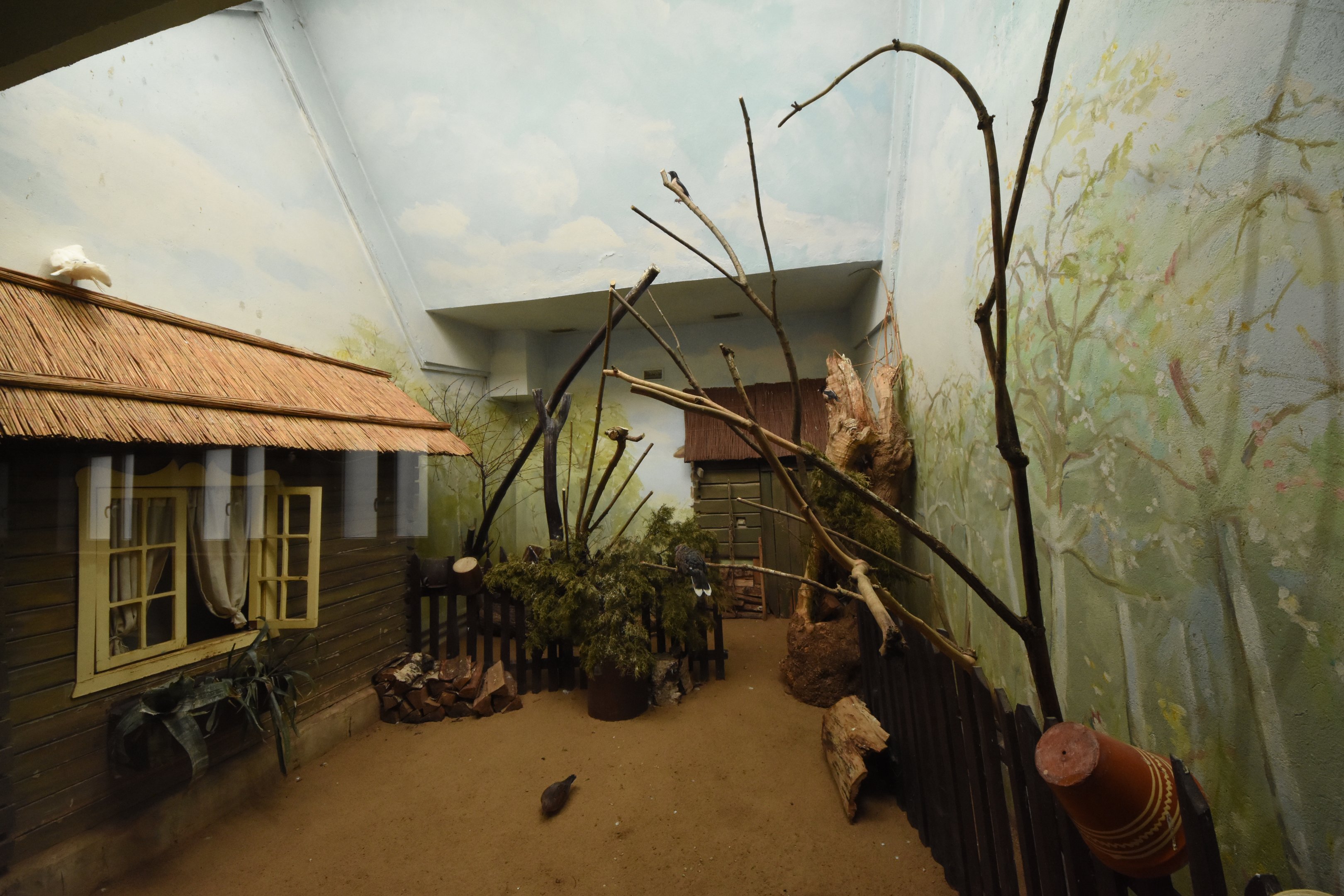 Bird house - Indoor aviary