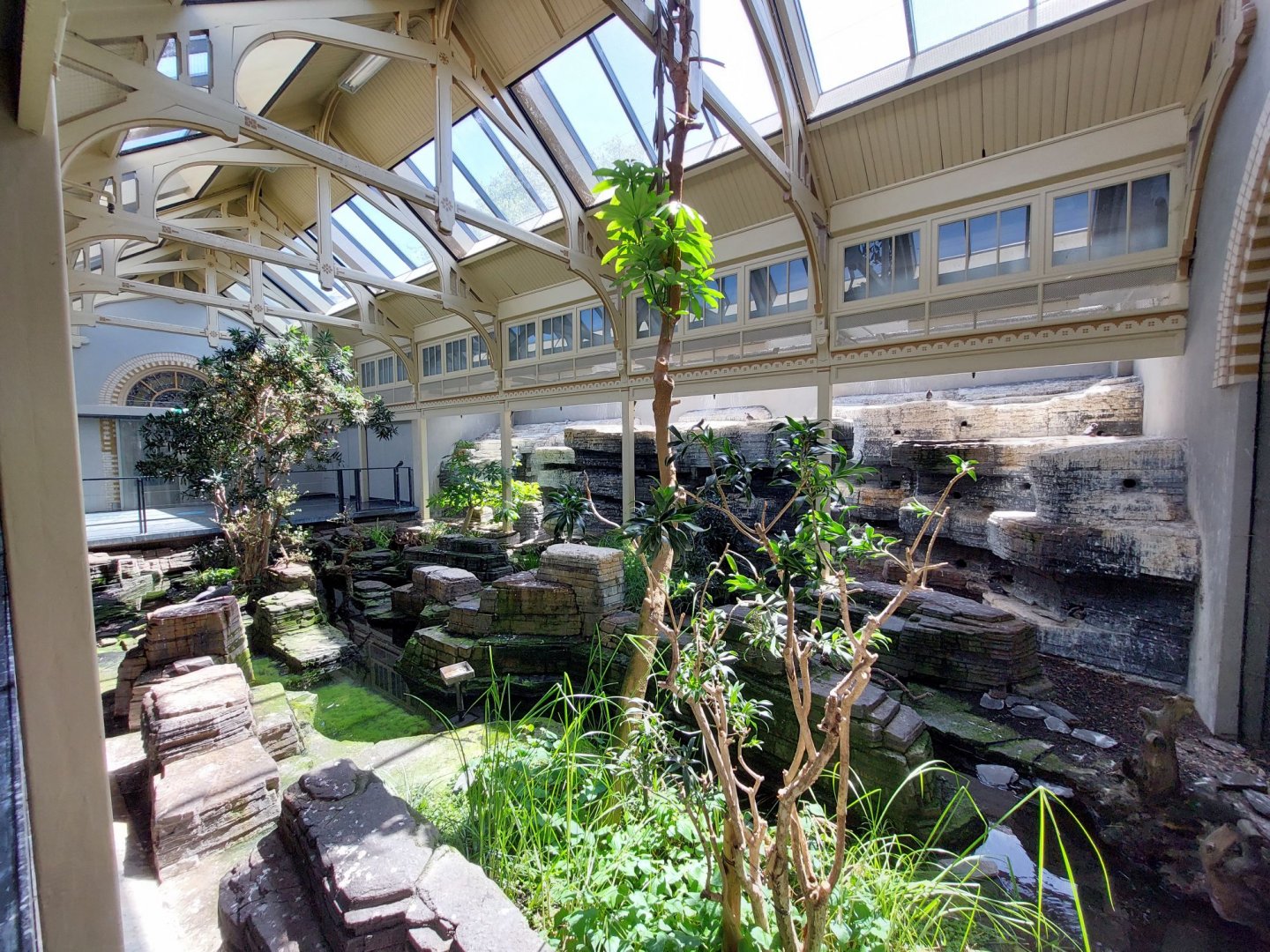 Bird House, Indoor Inca Tern Exhibit