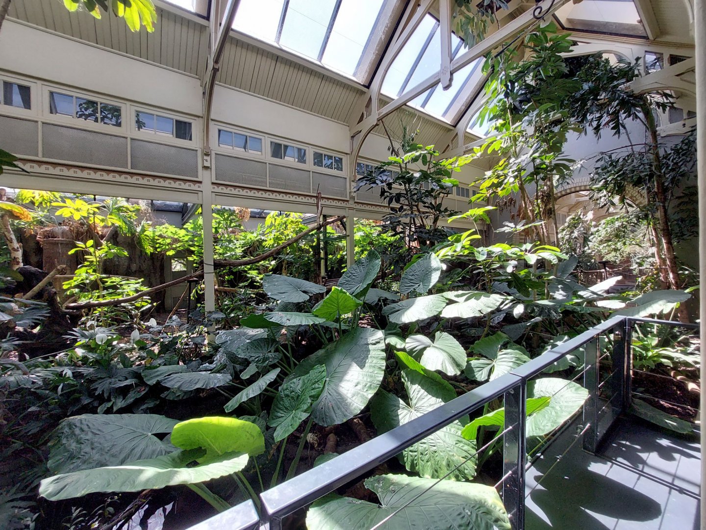 Bird House, Indoor Tropical Exhibit