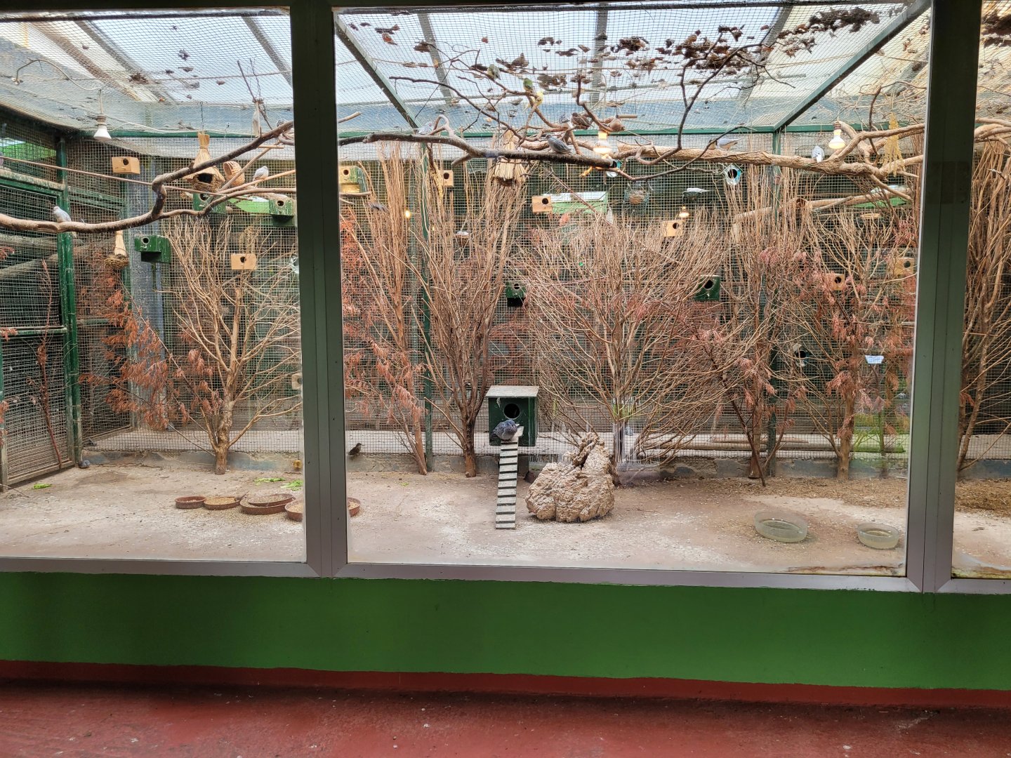 Bird House indoors exhibit #1 -Zoo de Santillana del Mar (2023)