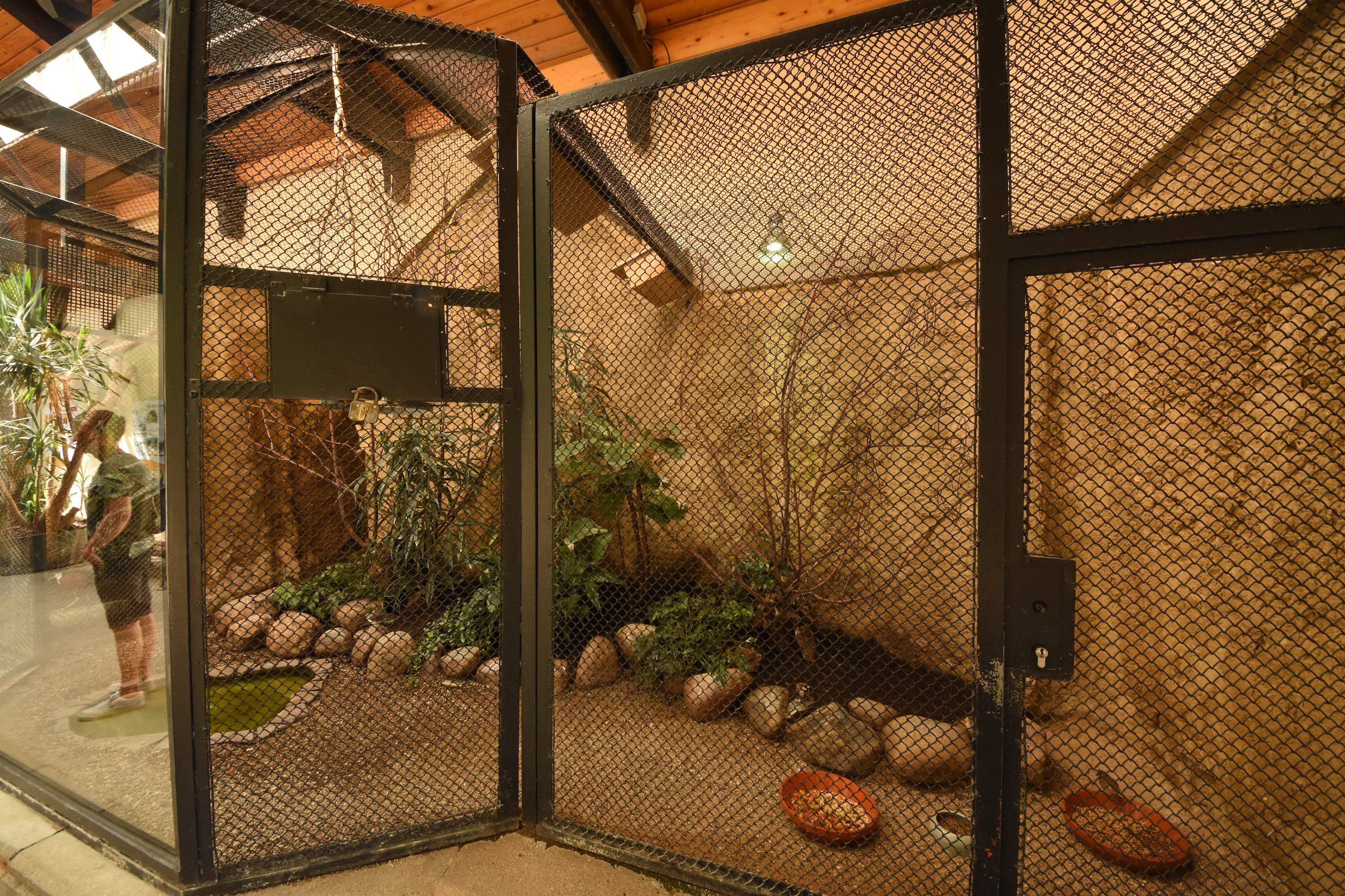 Bird house - Inside aviary