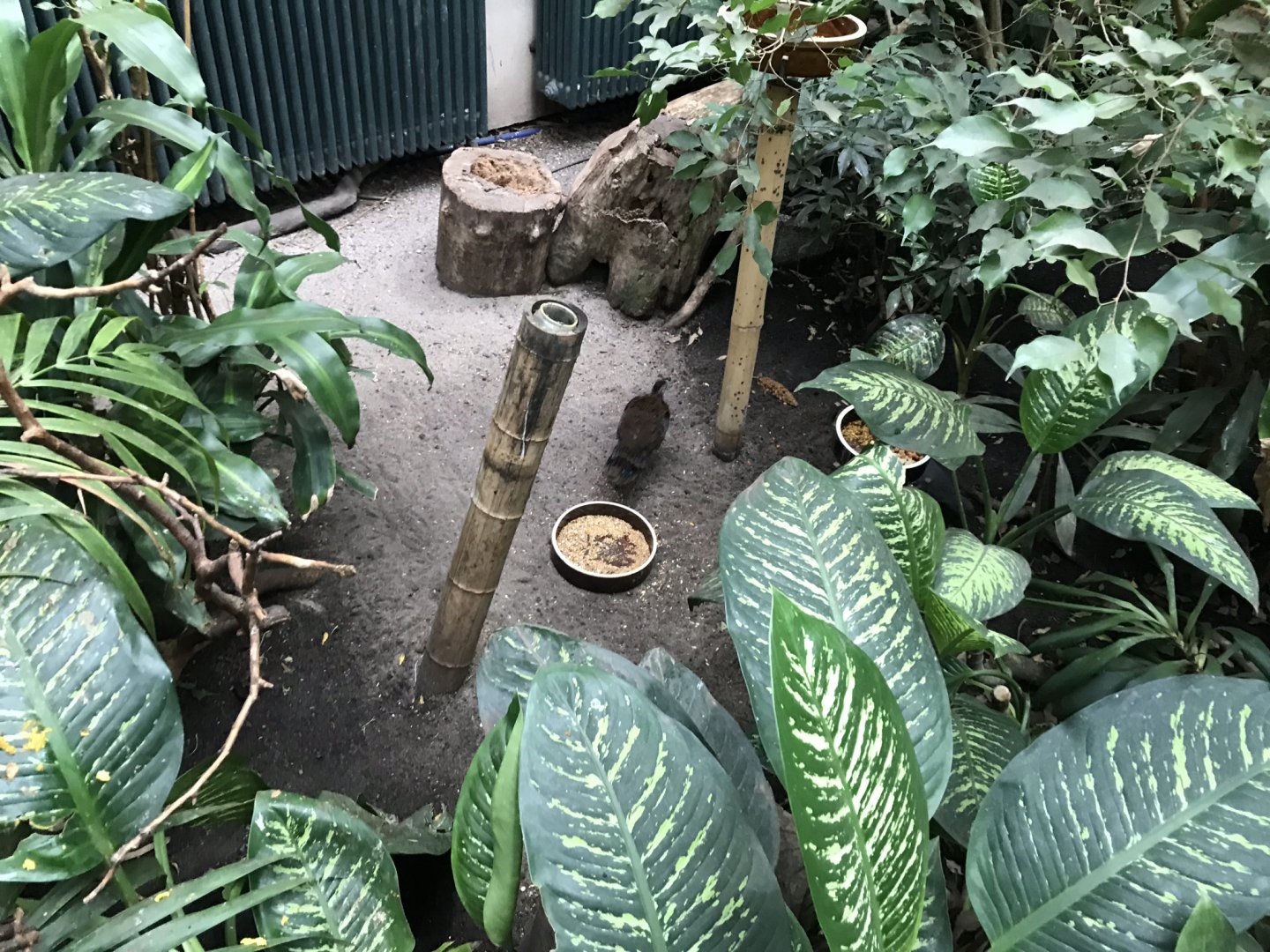 Bird House interior 280118