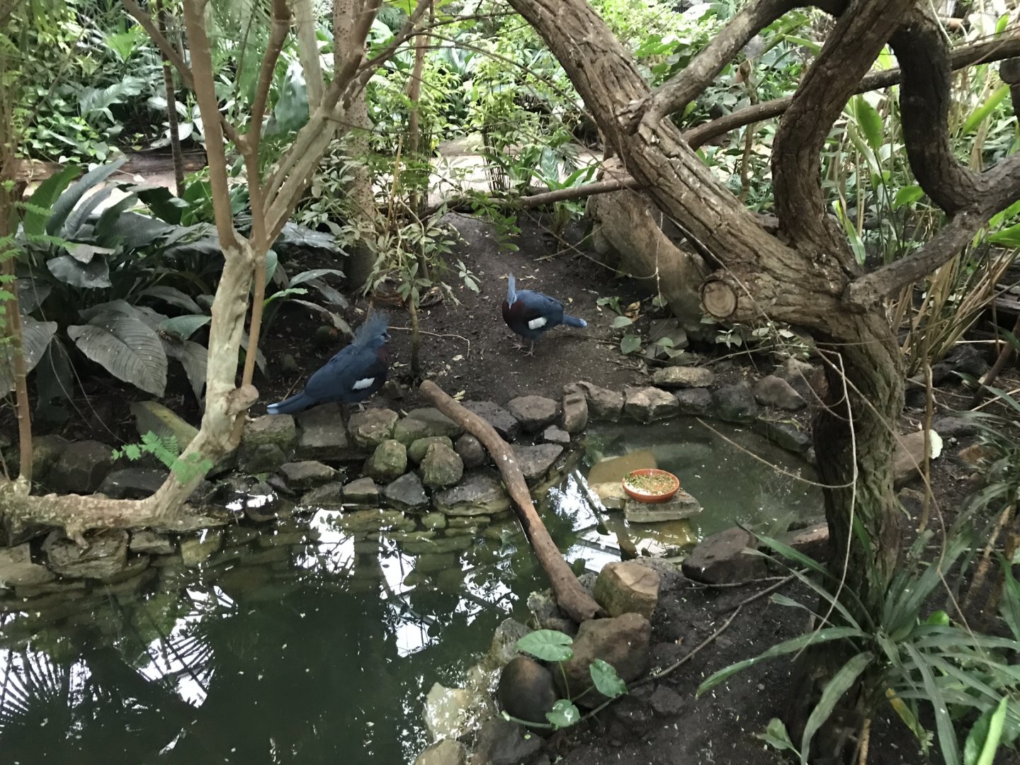 Bird House interior 280118