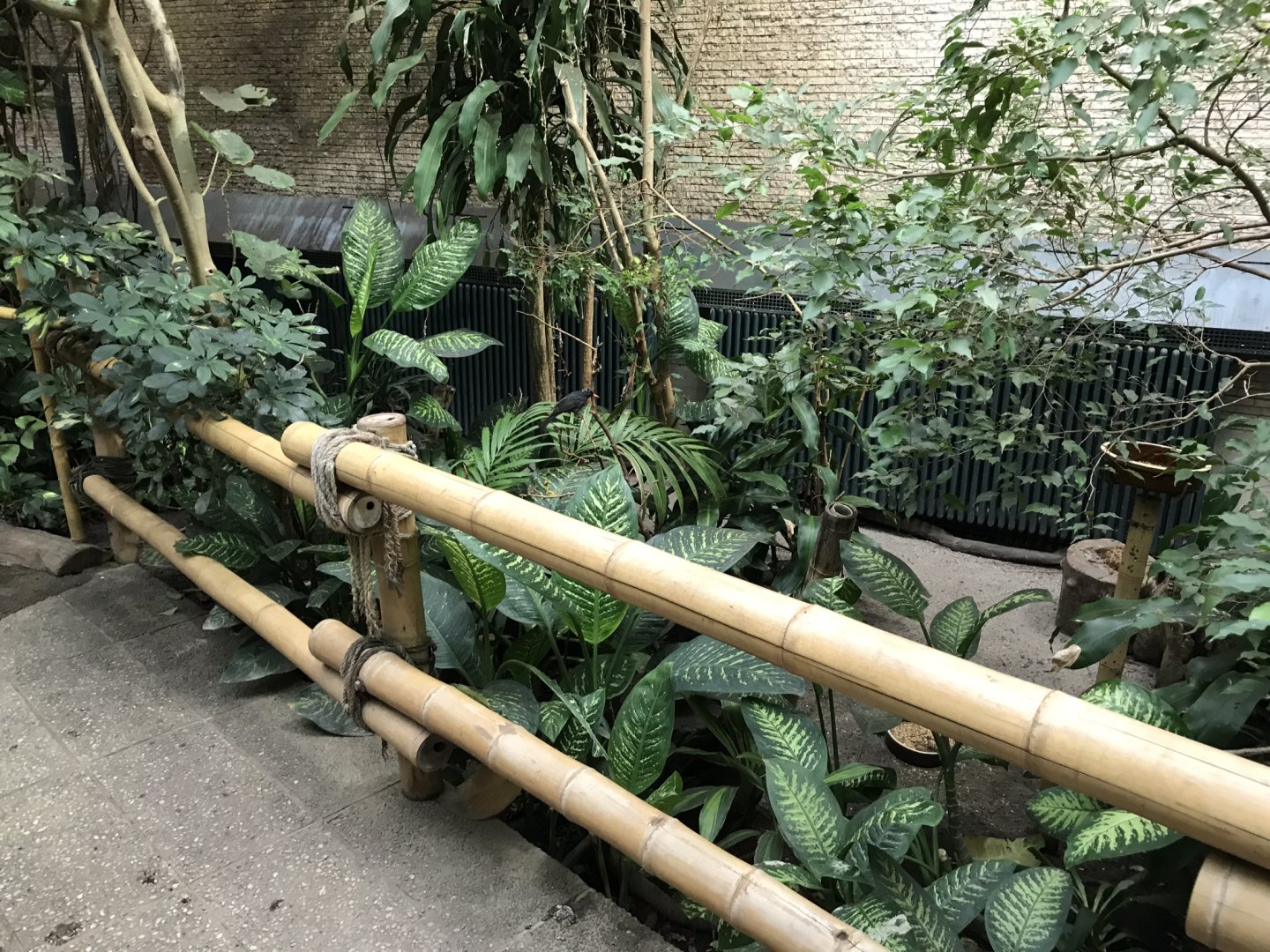 Bird House interior 280118