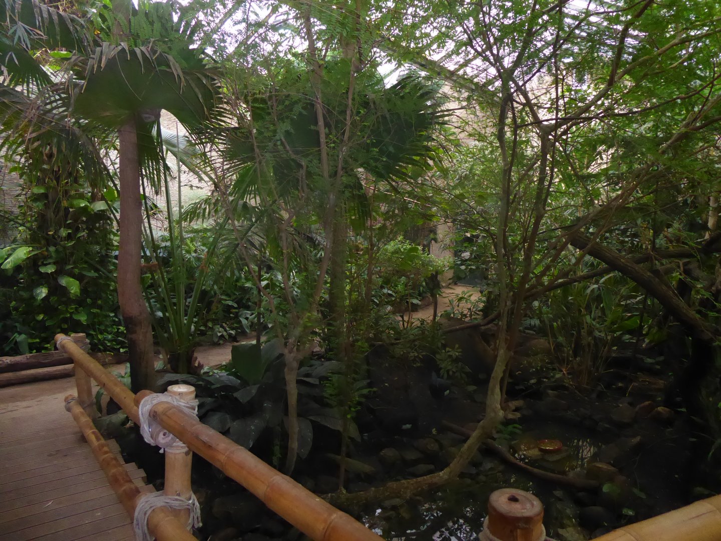 Bird House interior 280118