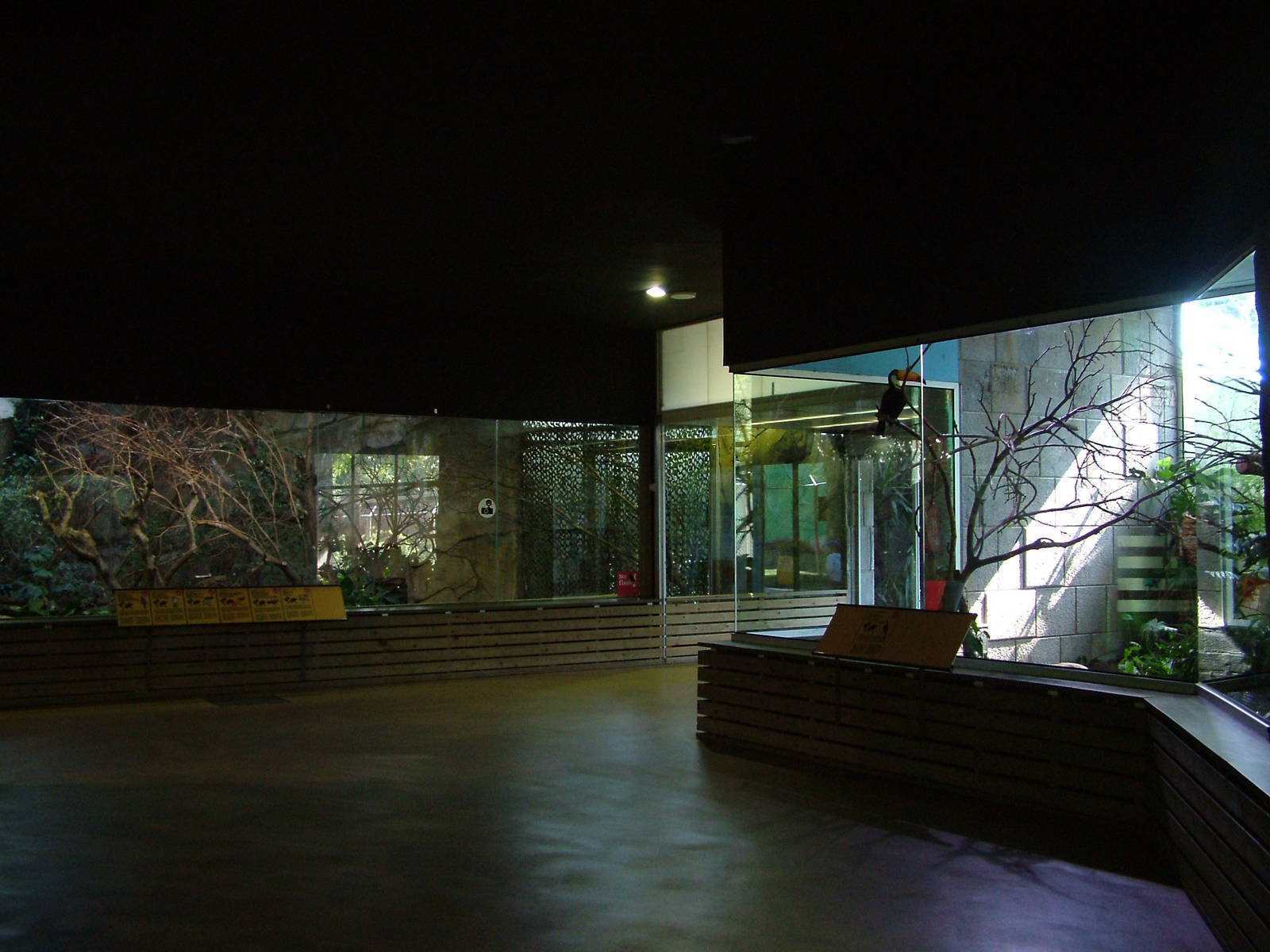 Bird House Interior at Barcelona, 30/05/11