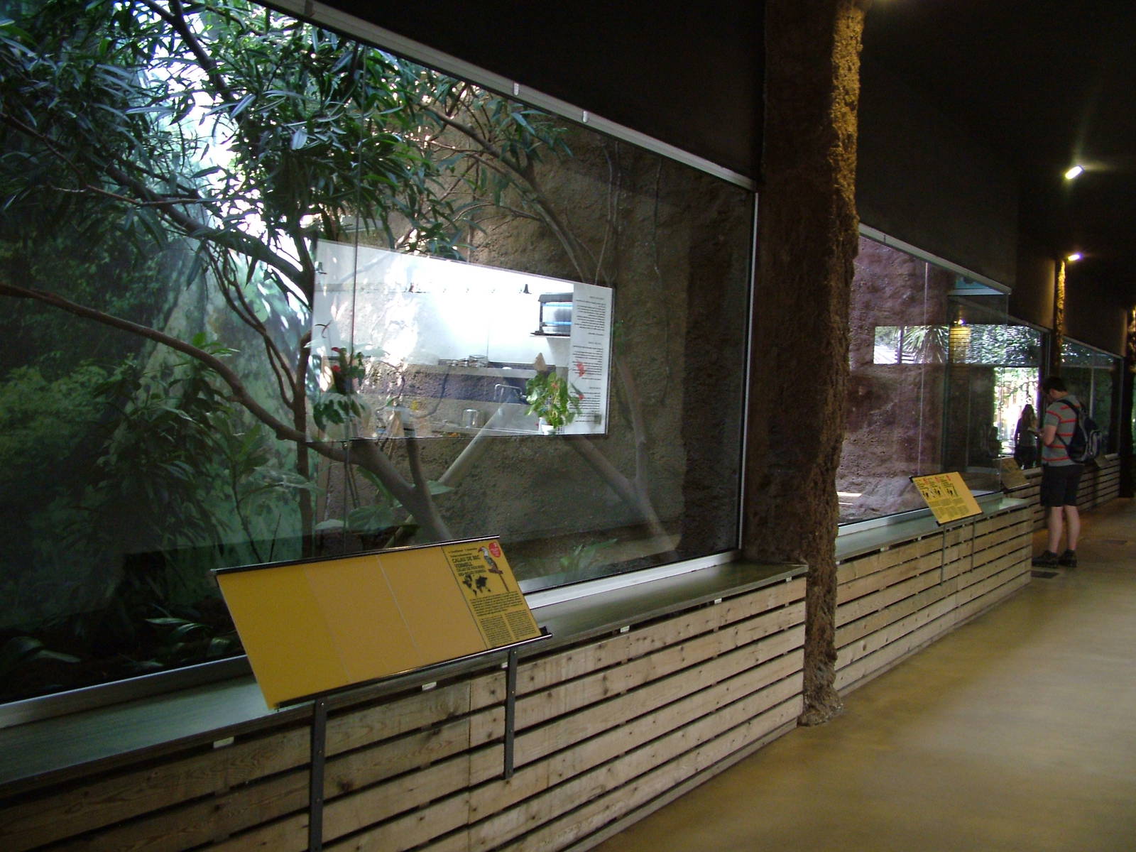 Bird House Interior at Barcelona, 30/05/11