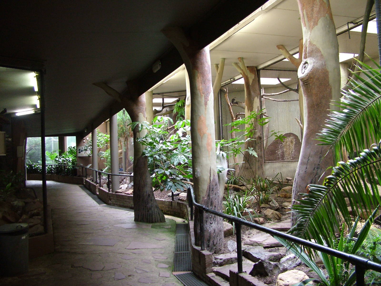 Bird House interior at Burgers Zoo Arnhem, 29/08/10