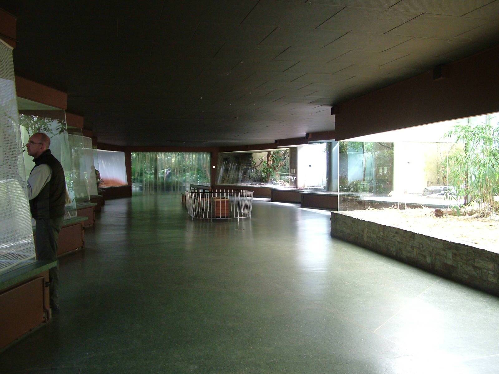 Bird House Interior at Frankfurt 31/08/10