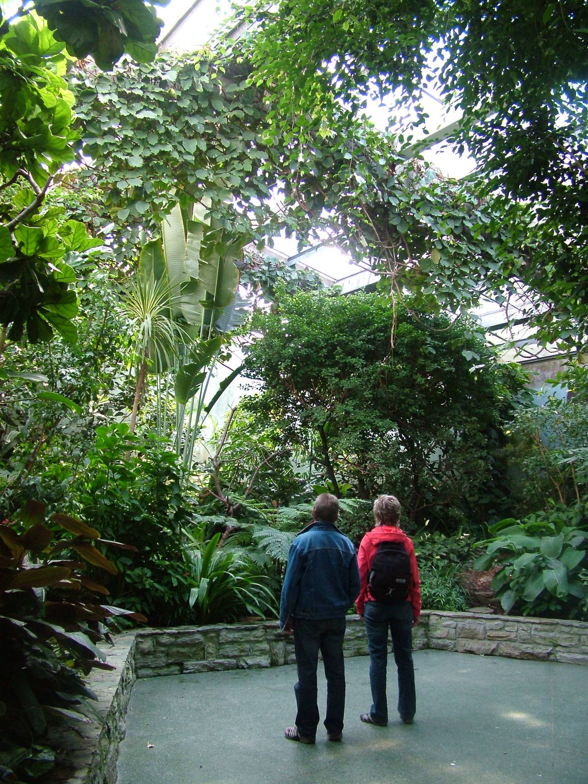Bird House Interior at Frankfurt 31/08/10