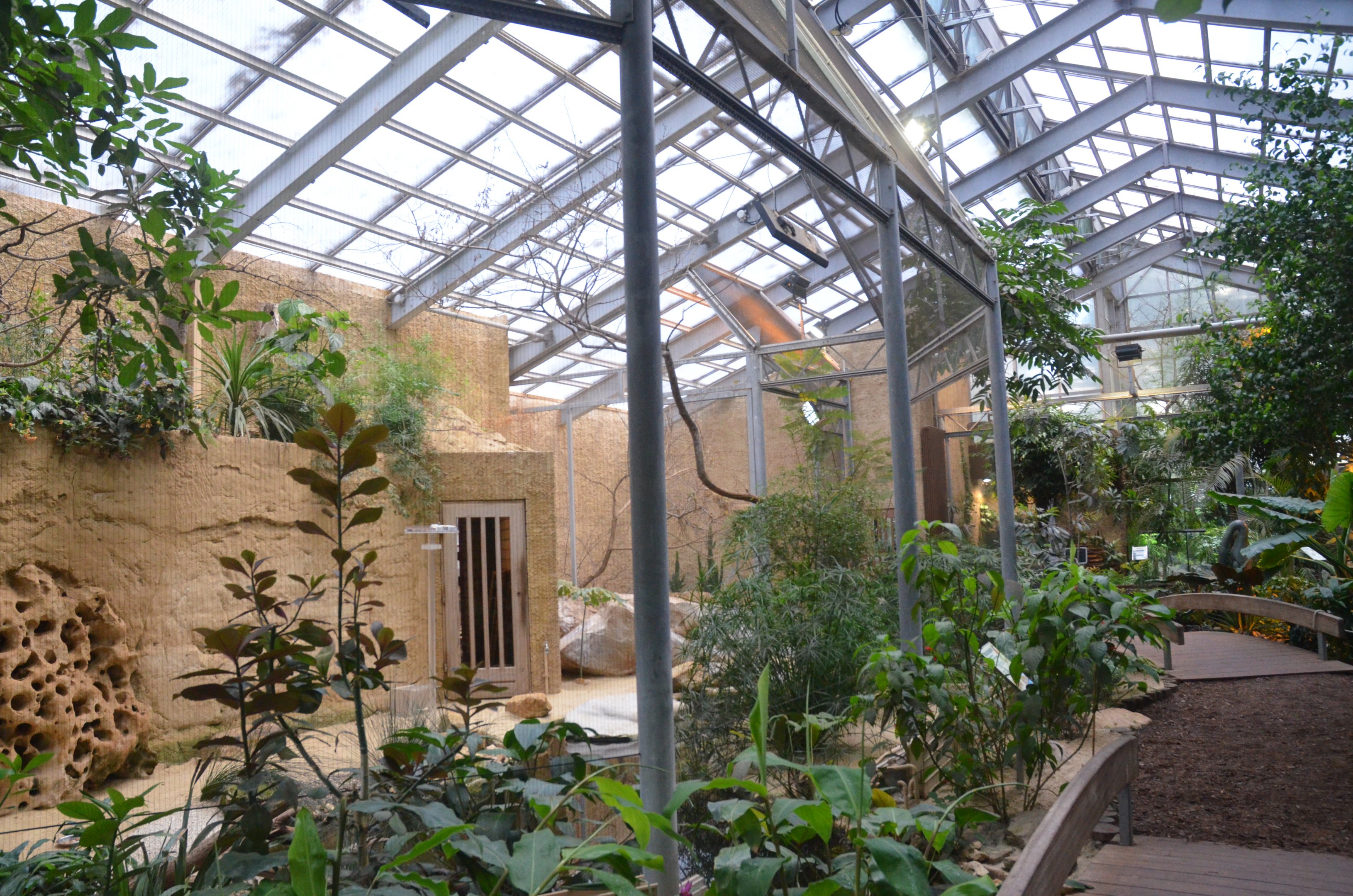 Bird House Interior at Krefeld, 15/06/19