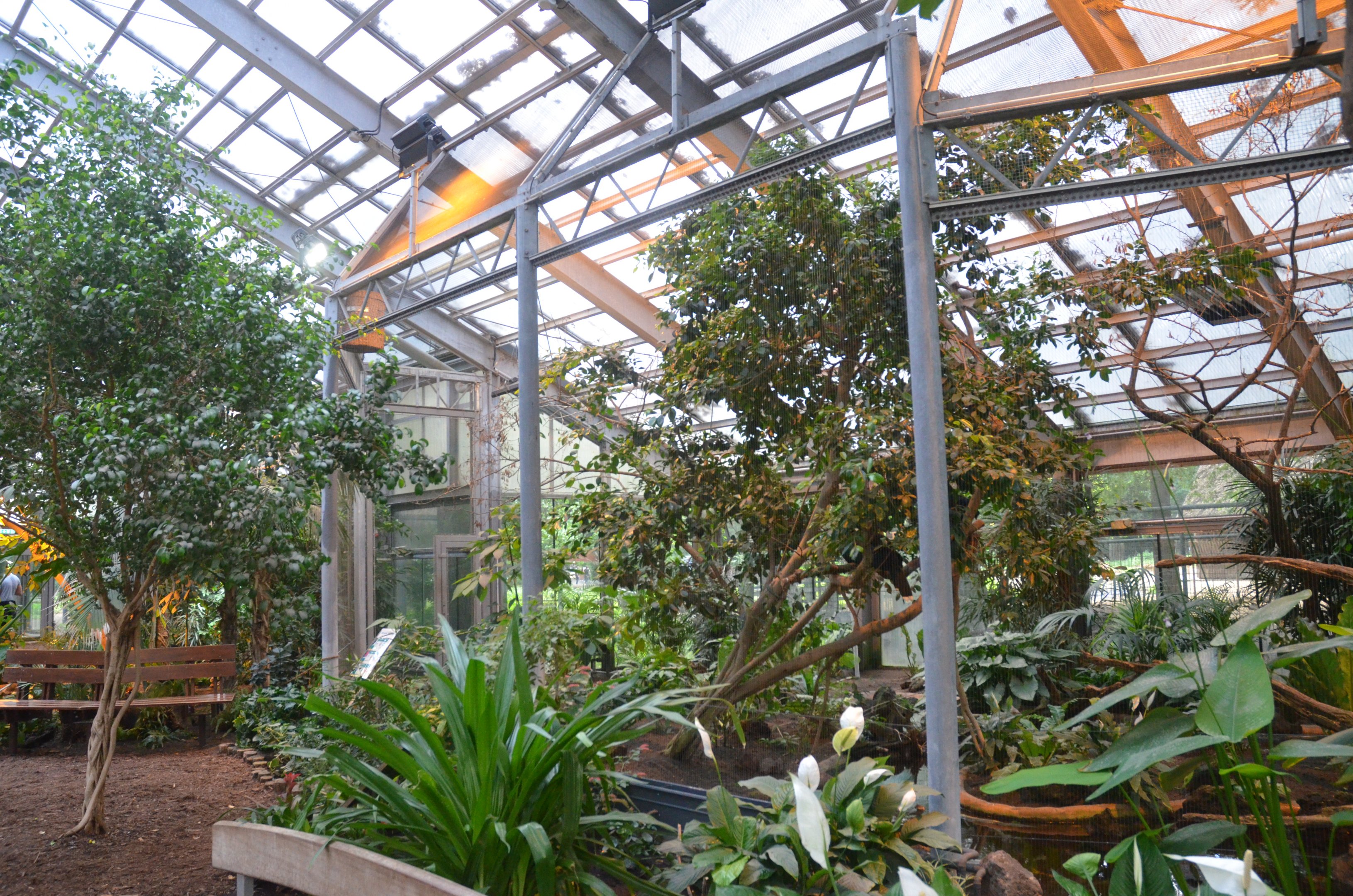 Bird House Interior at Krefeld, 15/06/19