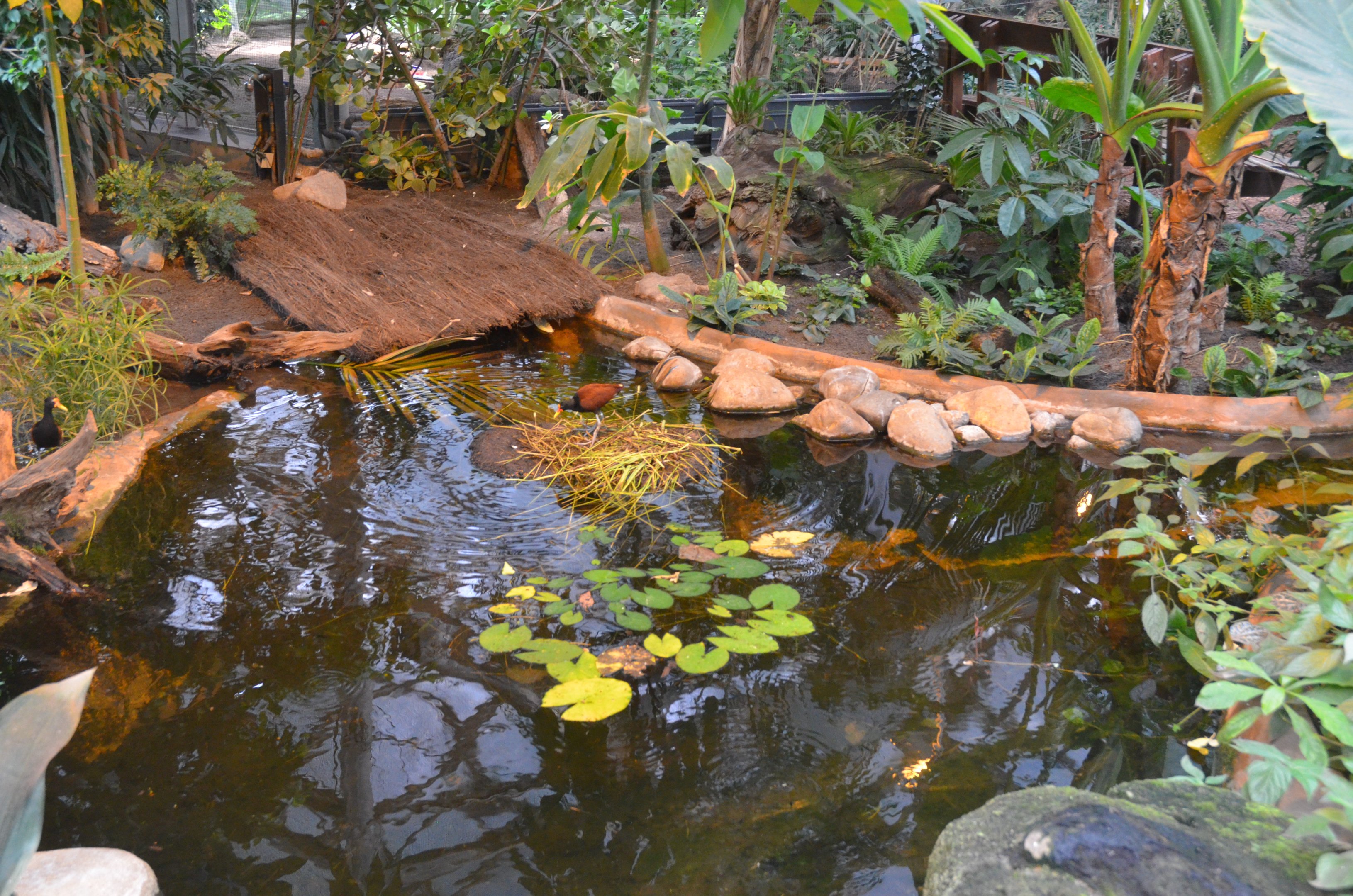 Bird House Interior at Krefeld, 15/06/19