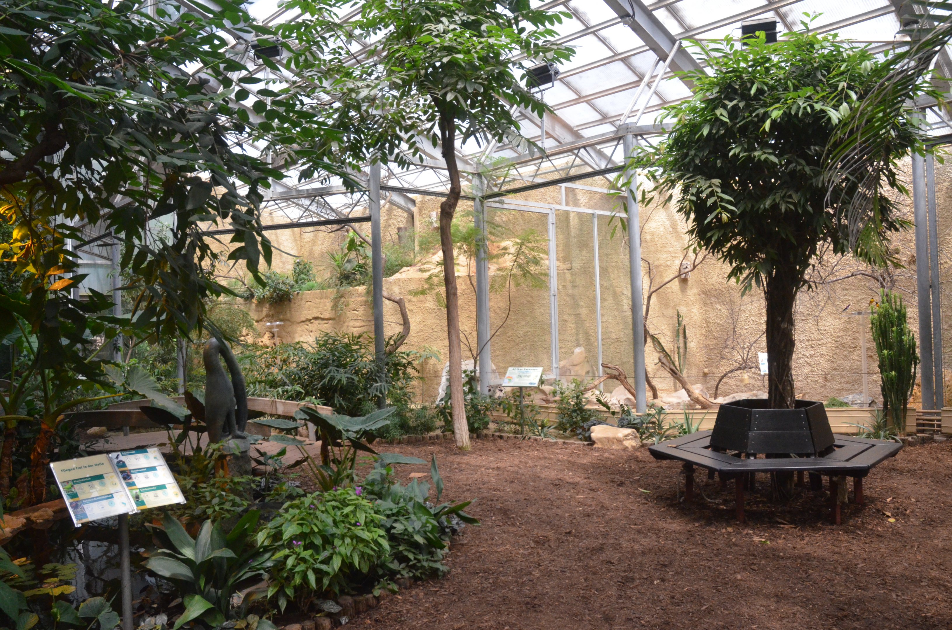 Bird House Interior at Krefeld, 15/06/19