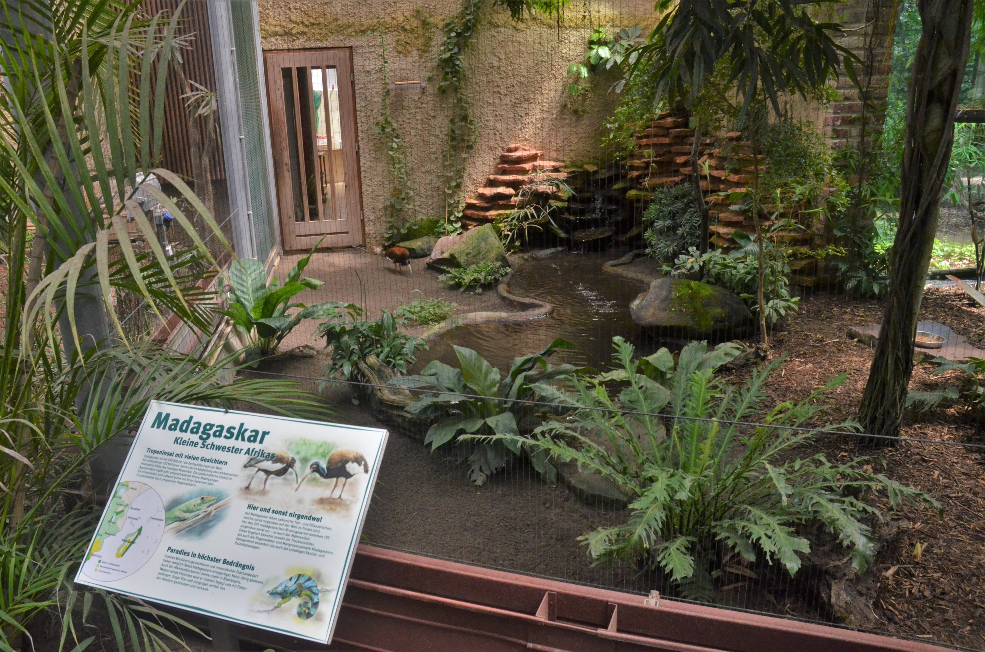 Bird House Interior at Krefeld, 15/06/19