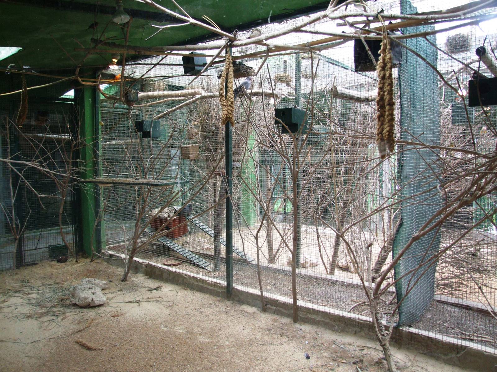 Bird House Interior at Santillana del Mar, 13/06/15