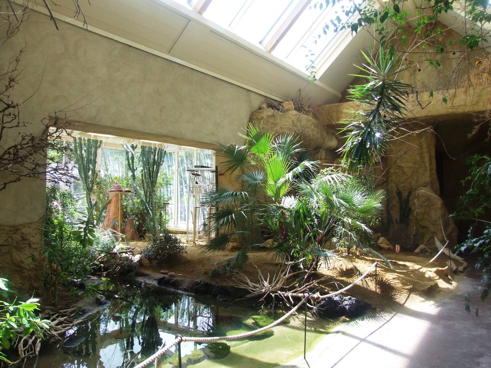 Bird House Interior at Vienna, 14/06/13