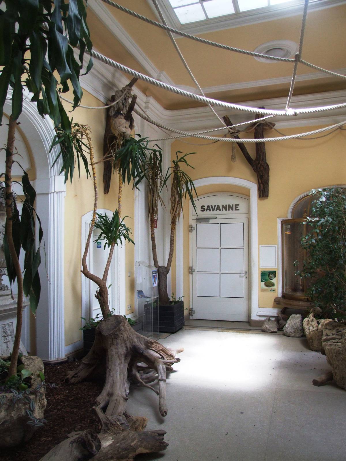 Bird House Interior at Vienna, 14/06/13