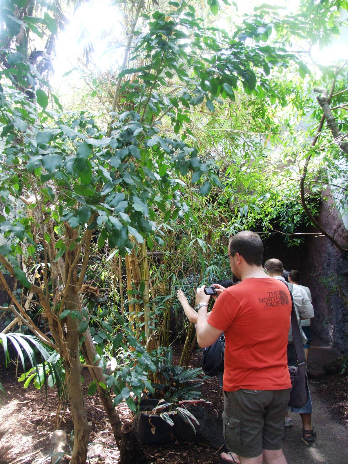 Bird House Interior at Vienna, 16/06/13