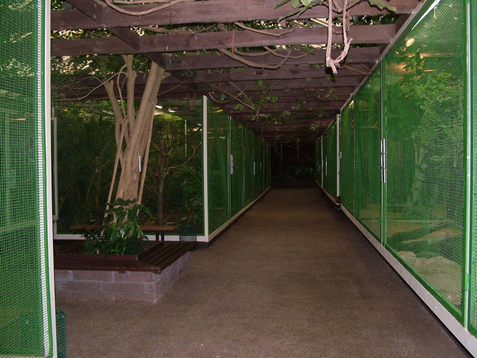 Bird House interior at Walsrode 2007
