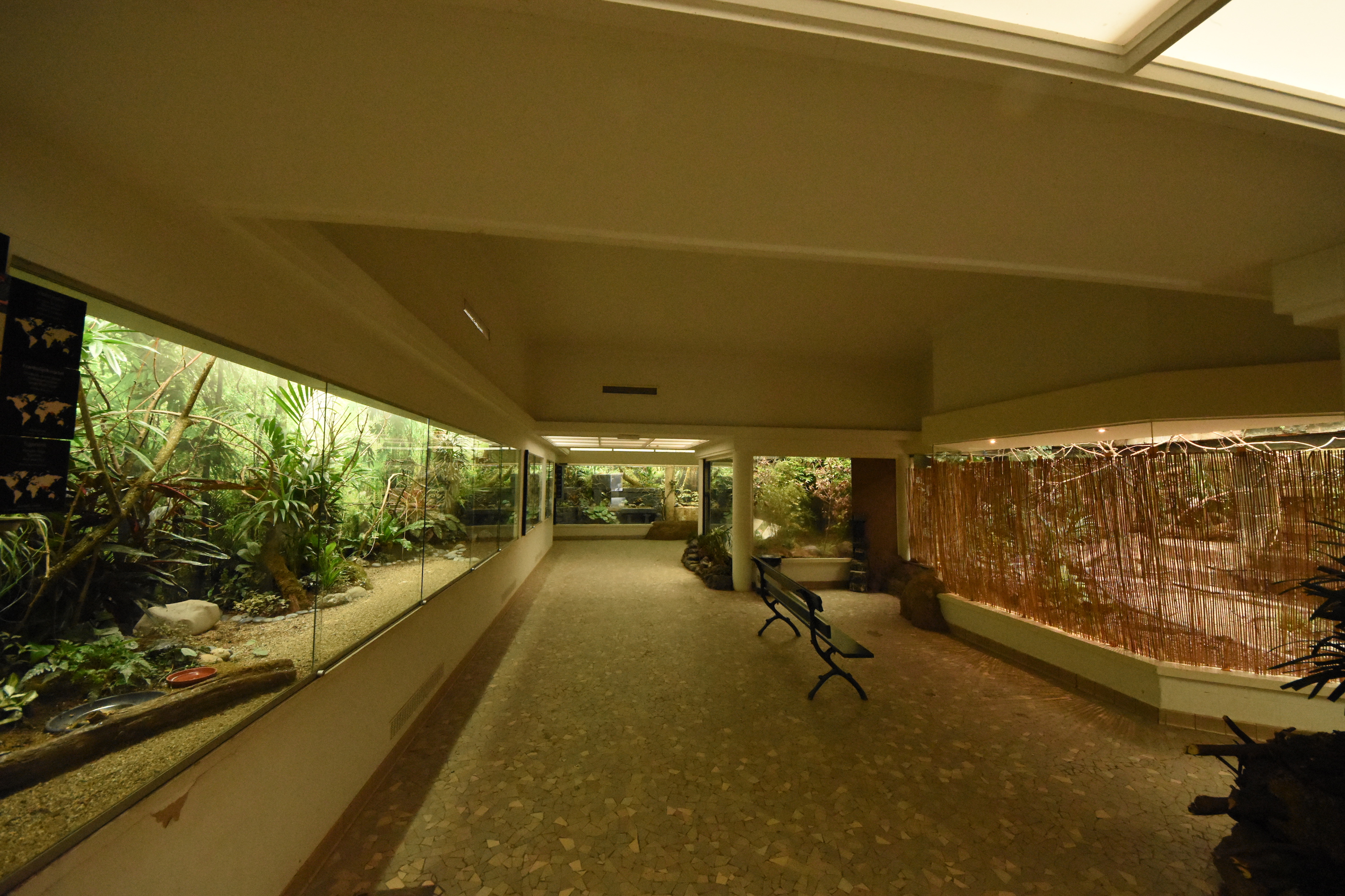 Bird house - interior