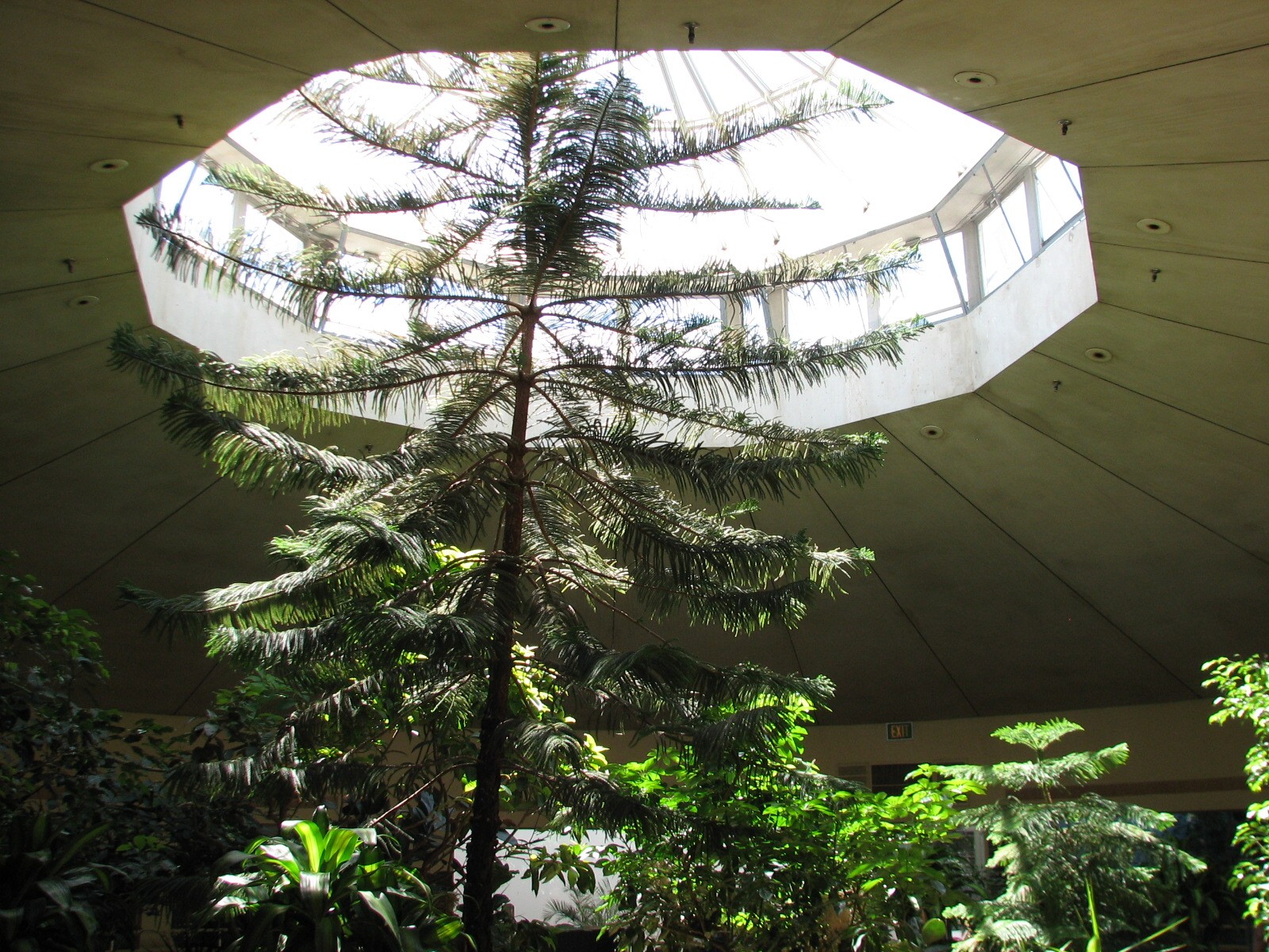 Bird House - Interior