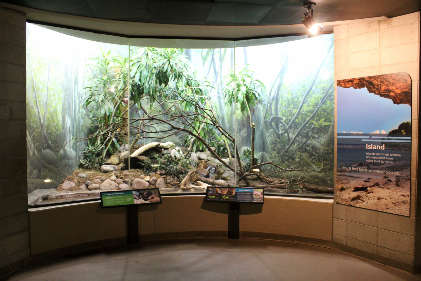 Bird House - Island Exhibit