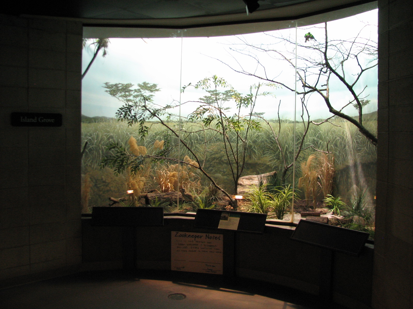 Bird House - Island Grove Exhibit