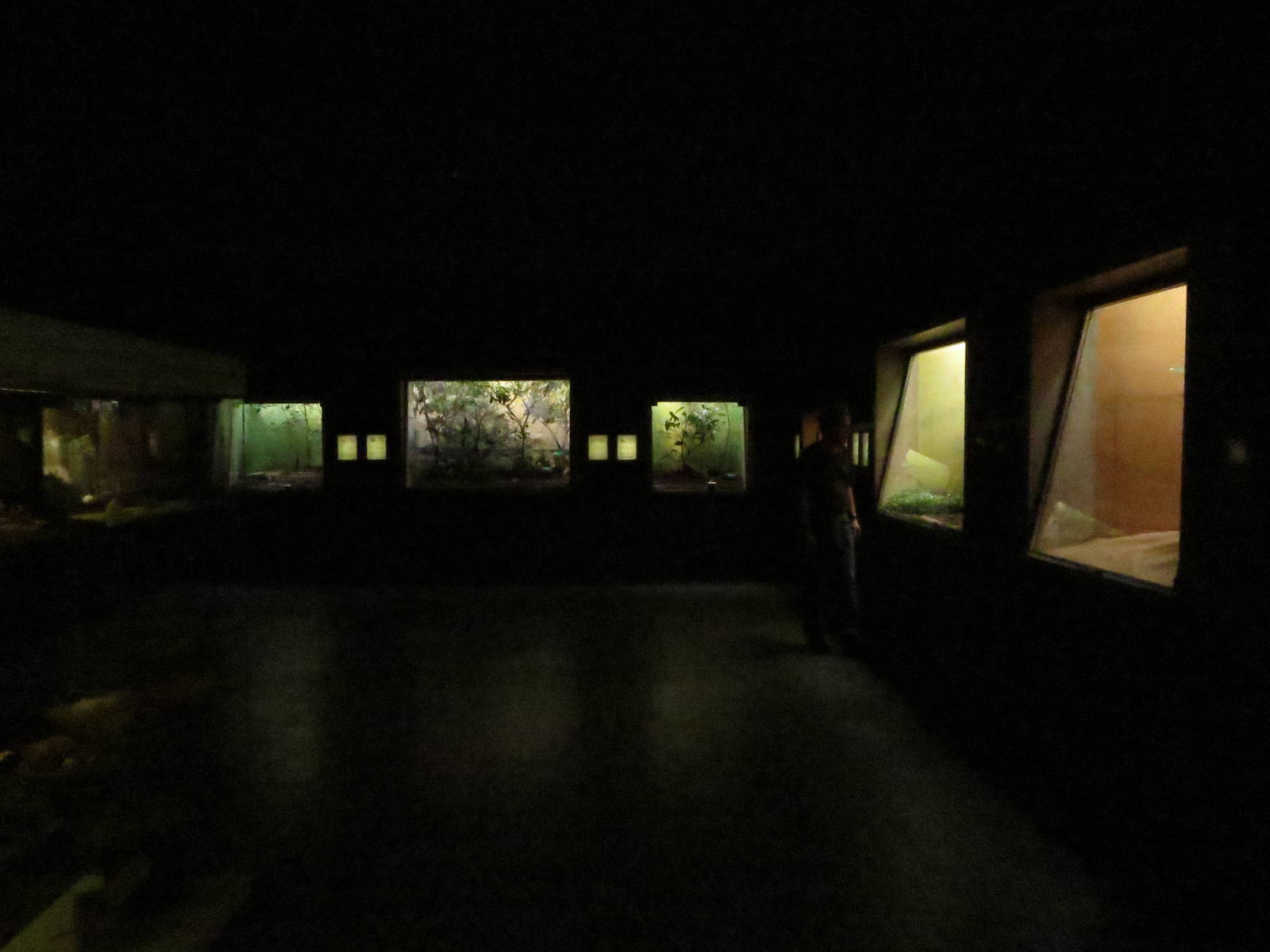 Bird house - jewel hall