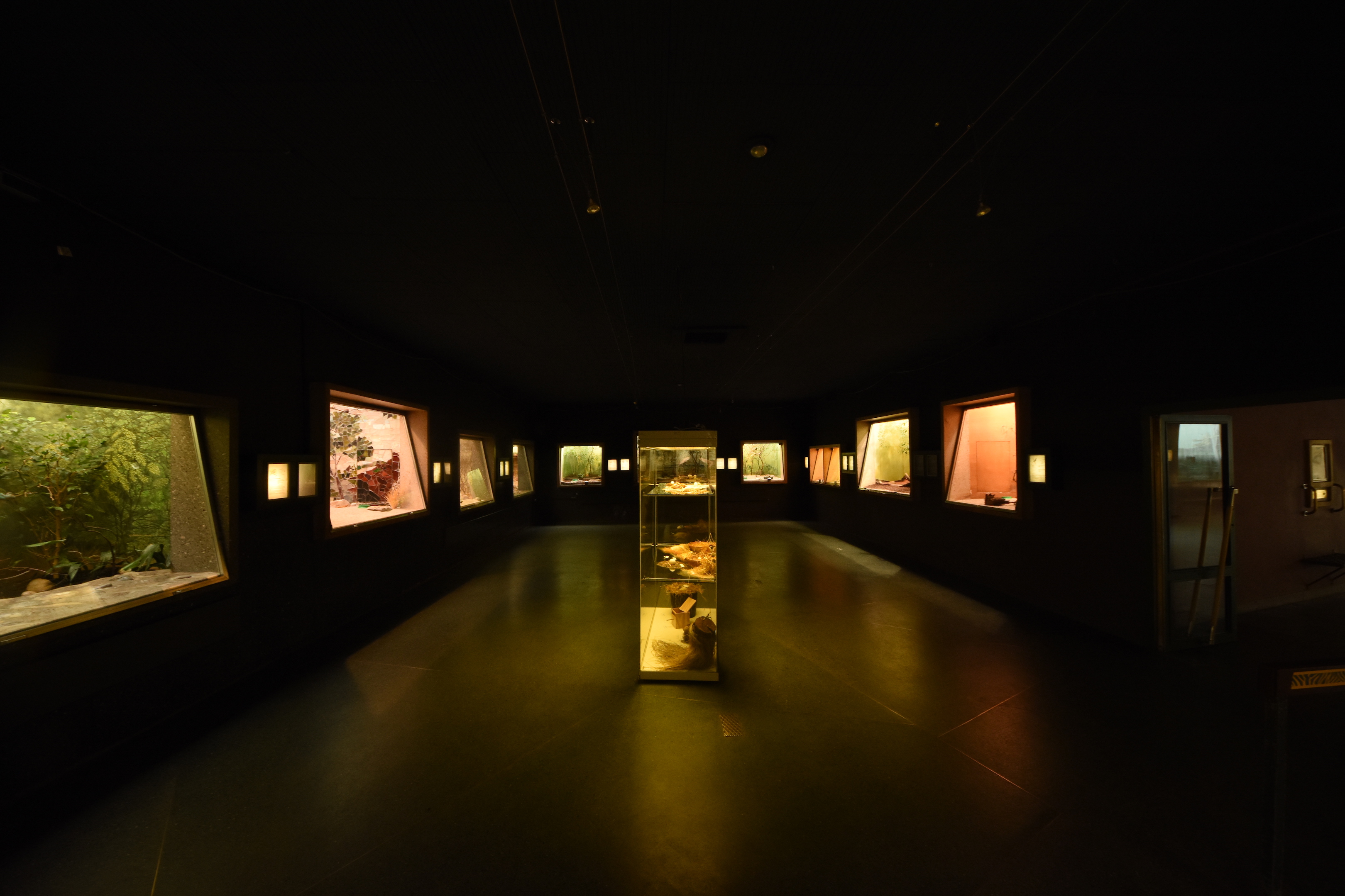 Bird house - Jewell hall