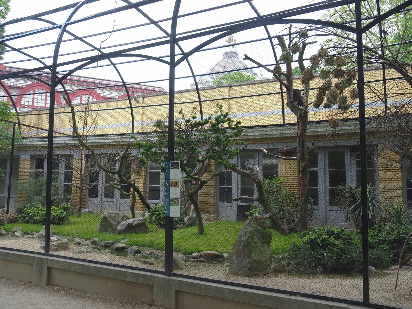 Bird house - Large mixed outdoor aviaries - African aviary, 2021-06-12