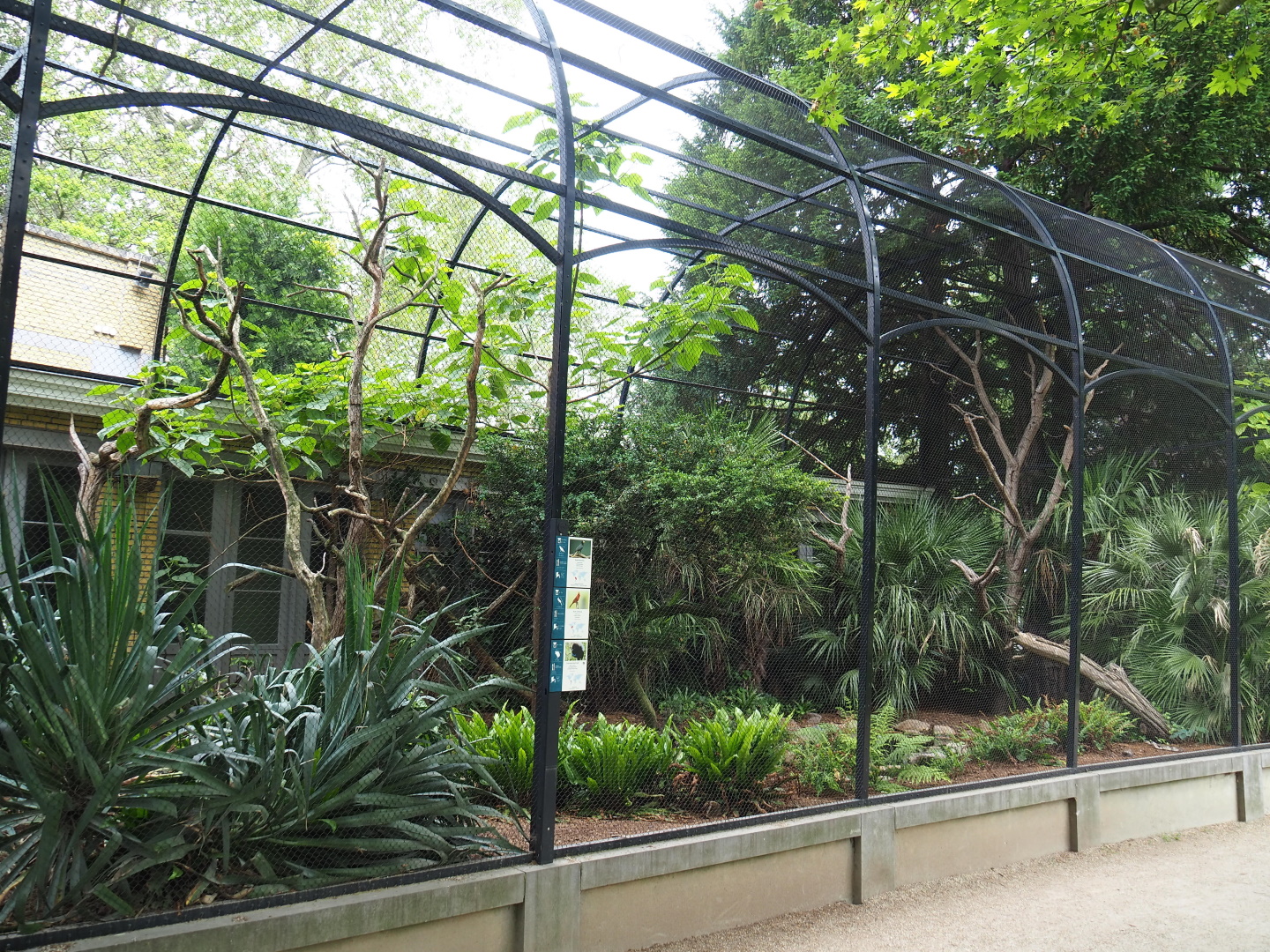 Bird house - Large mixed outdoor aviaries - American aviary, 2021-06-12