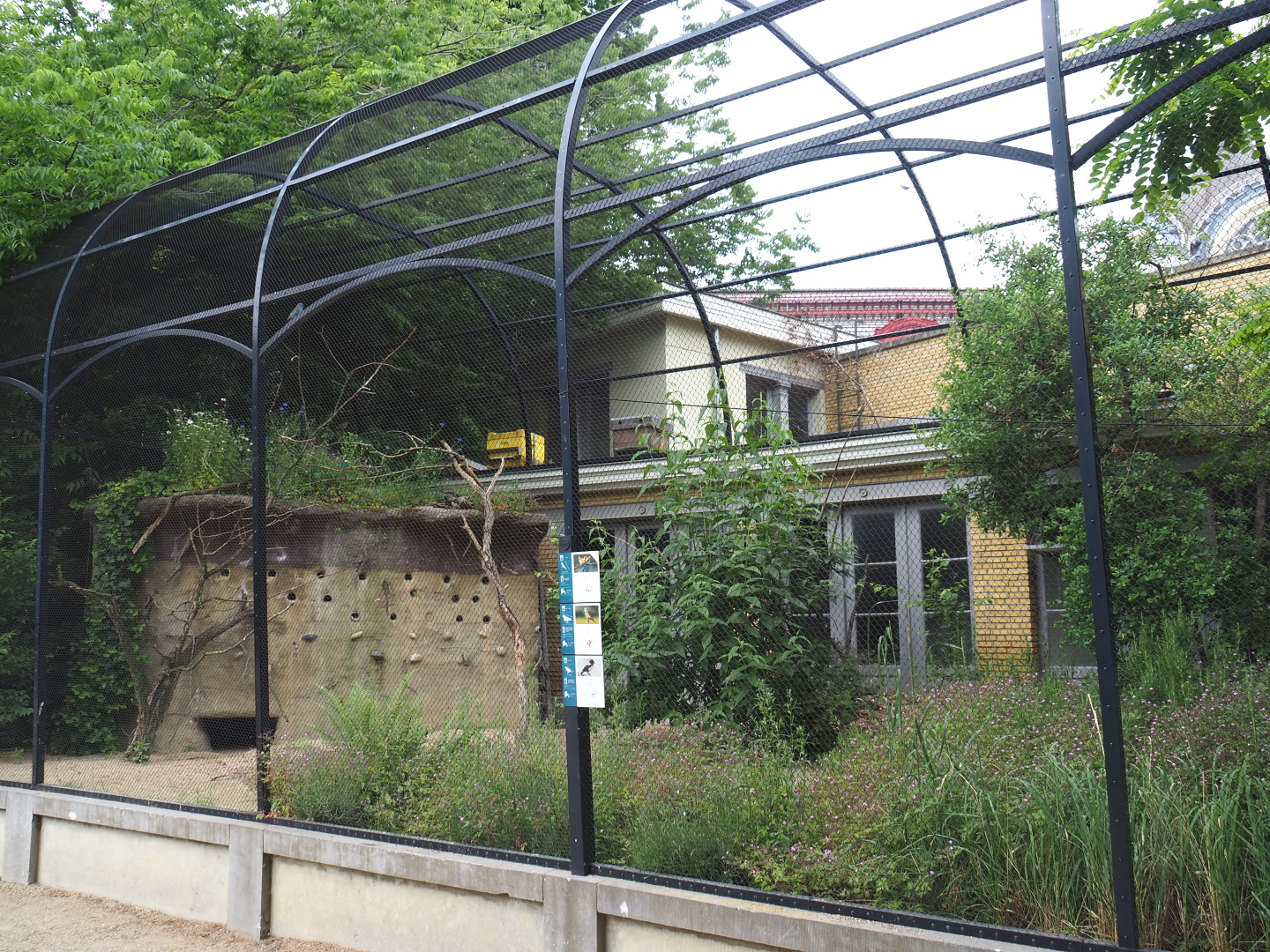 Bird house - Large mixed outdoor aviaries - Mediterranean aviary, 2021-06-12