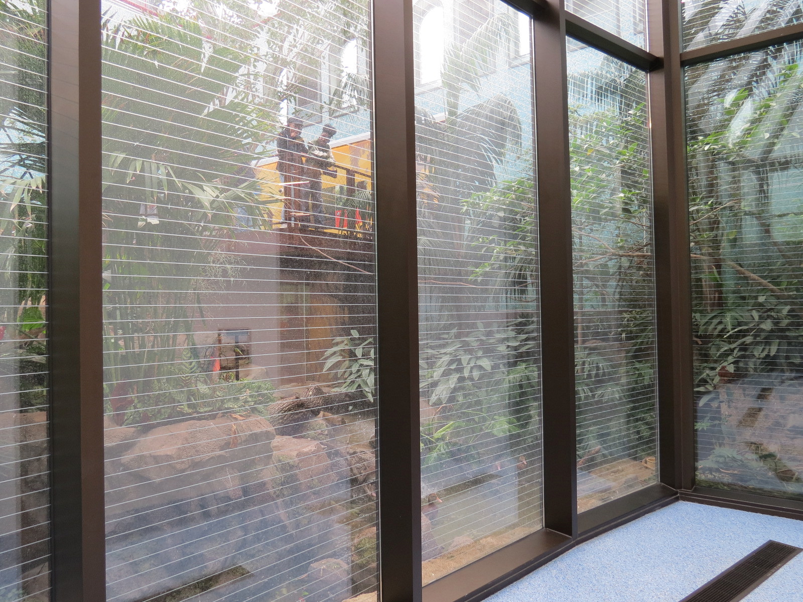 Bird House - Lobby - Preview of Songbird Aviary