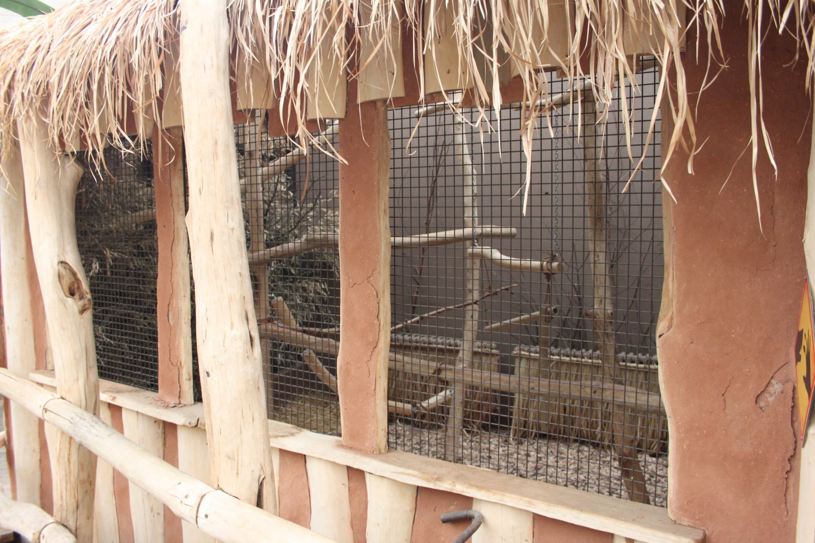 Bird house - Madagascar hall - Fossa indoors