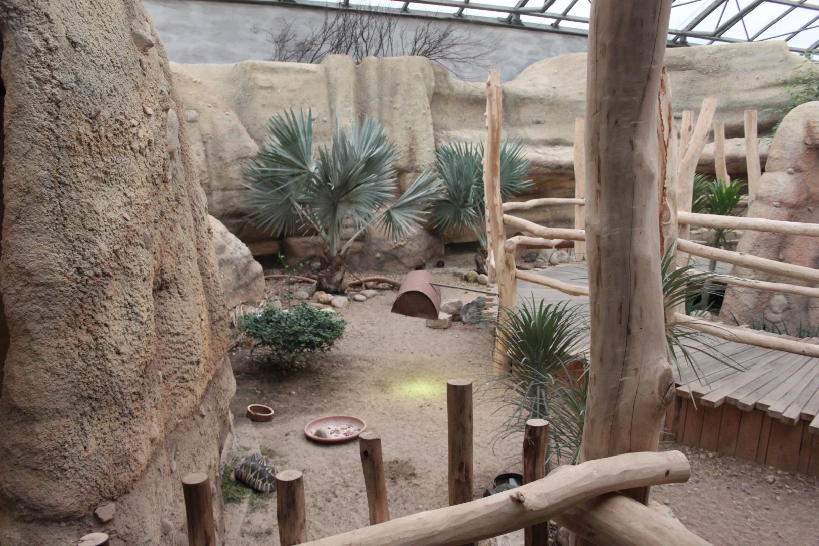 Bird house - Madagascar hall - Radiated tortoise exhibit