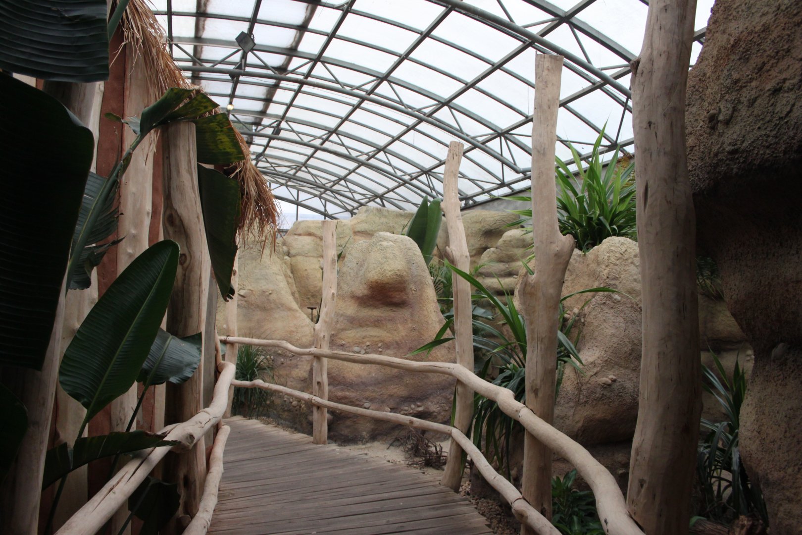 Bird house - Madagascar hall - View from the entrance