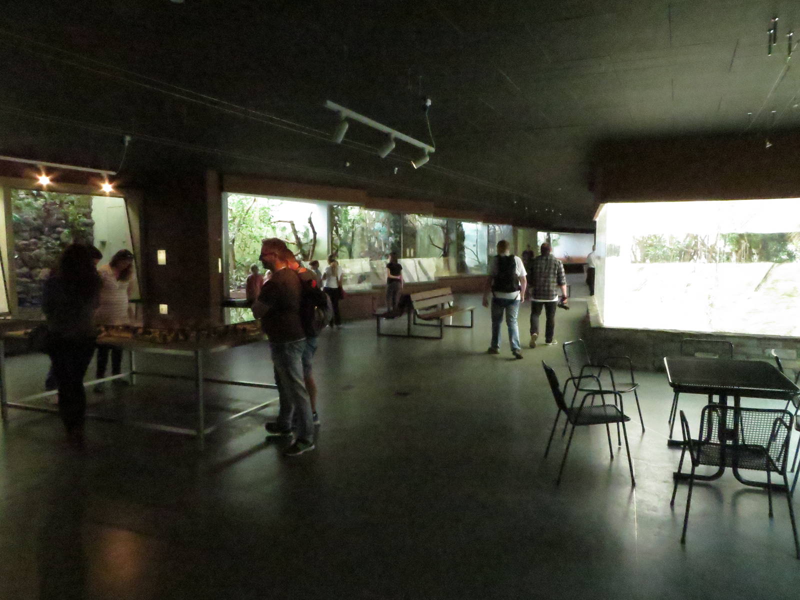 Bird house - main hall