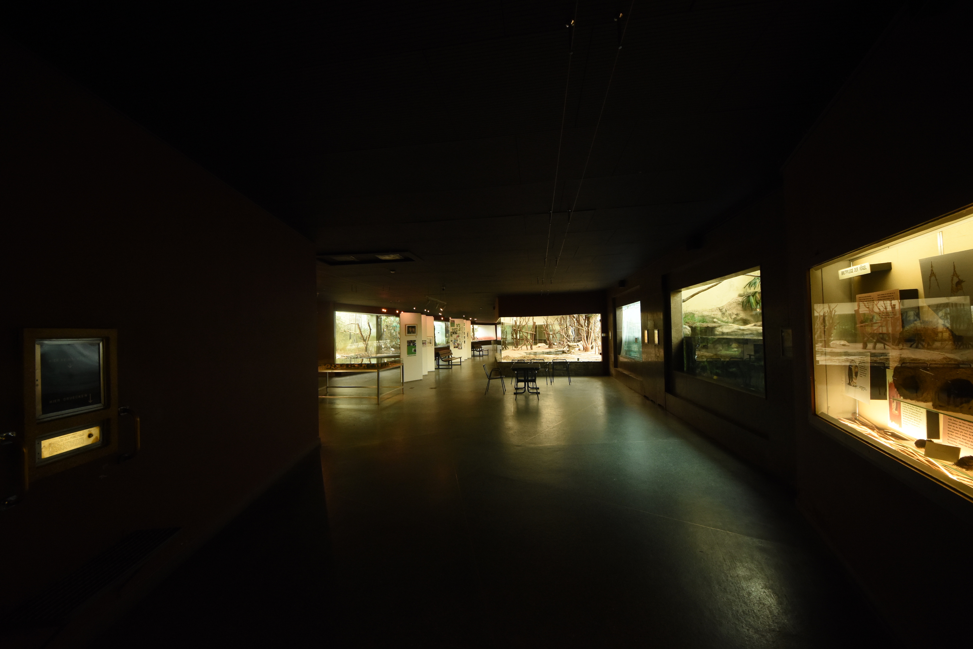 Bird house - Main hall